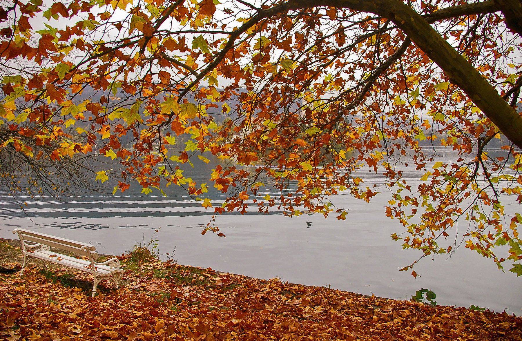 Pentax *ist DS sample photo. Autumn at lake photography