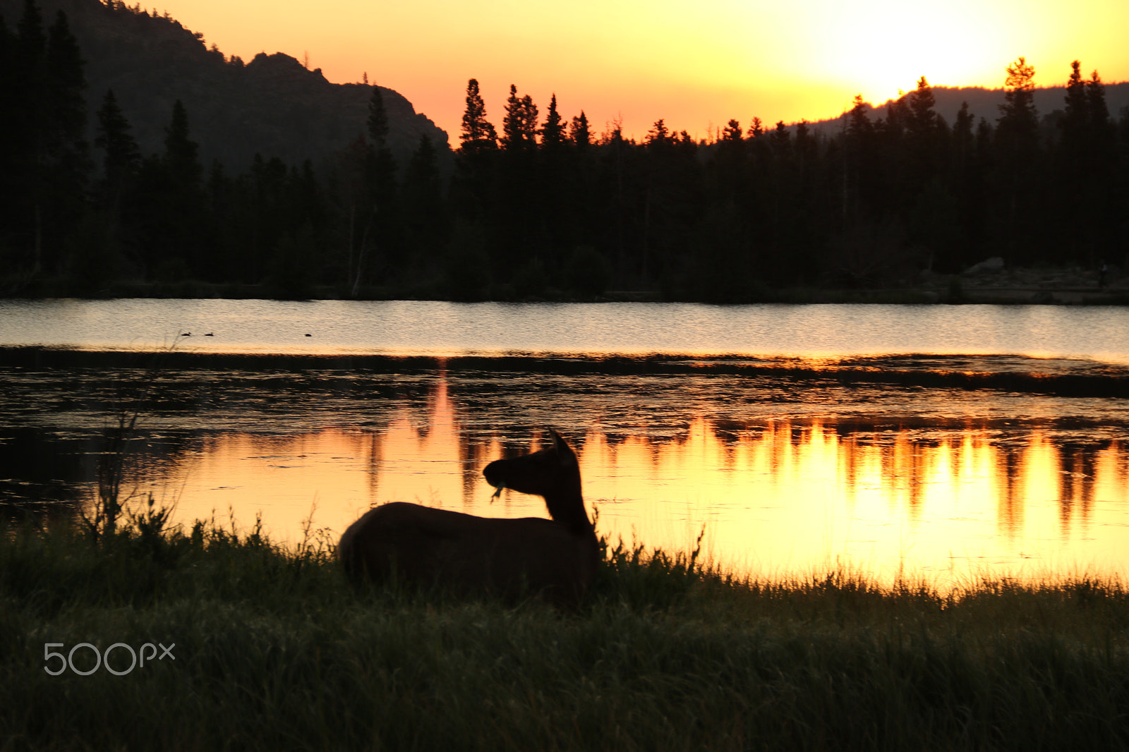 Canon EOS 750D (EOS Rebel T6i / EOS Kiss X8i) sample photo. Sunrise 3441 photography