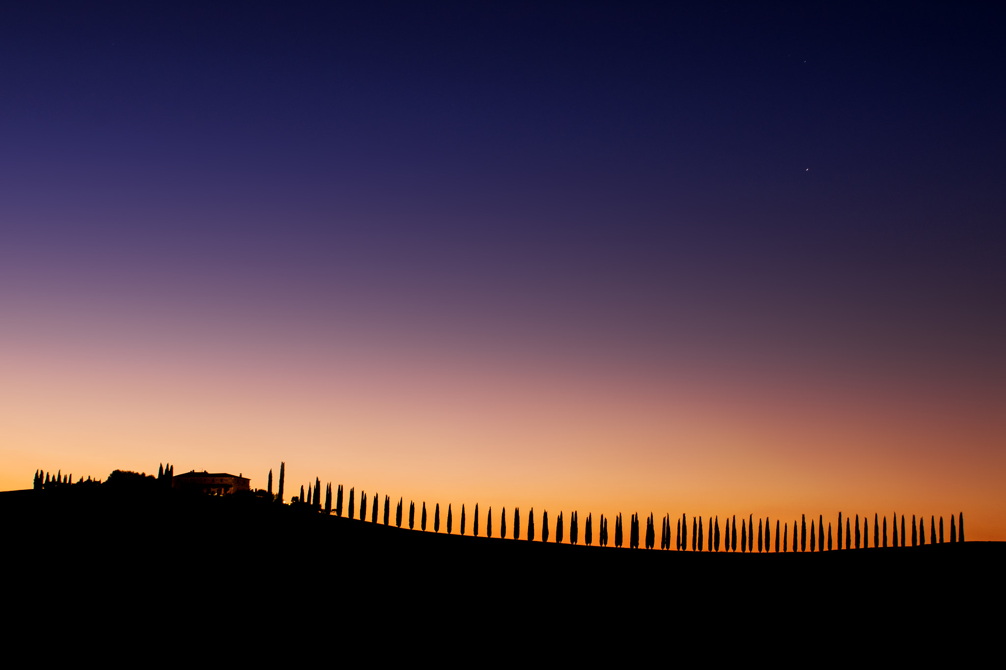 Nikon AF-S Nikkor 24-70mm F2.8G ED sample photo. Silhouette of trees on the hill photography