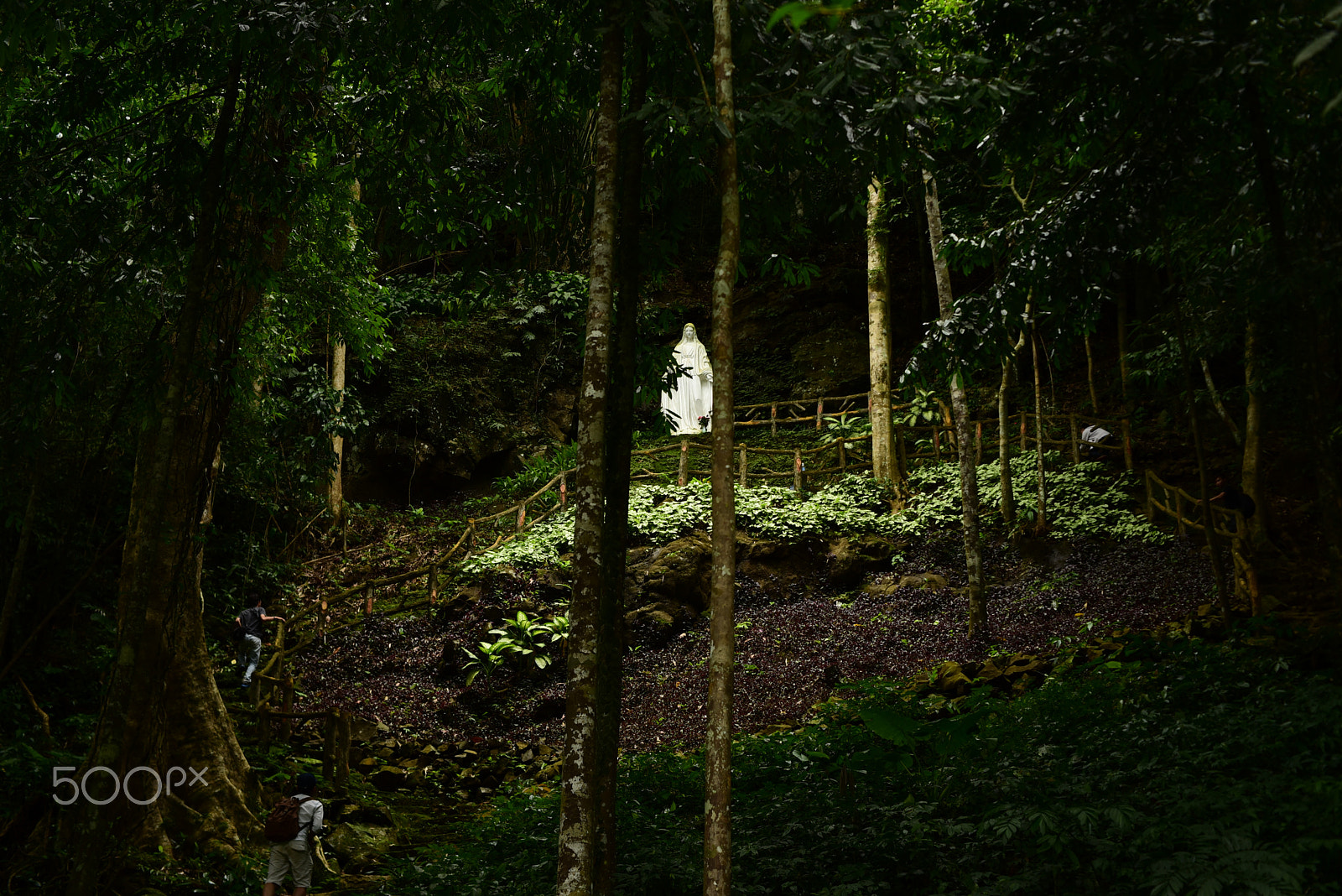 Manual Lens No CPU sample photo. Light photography