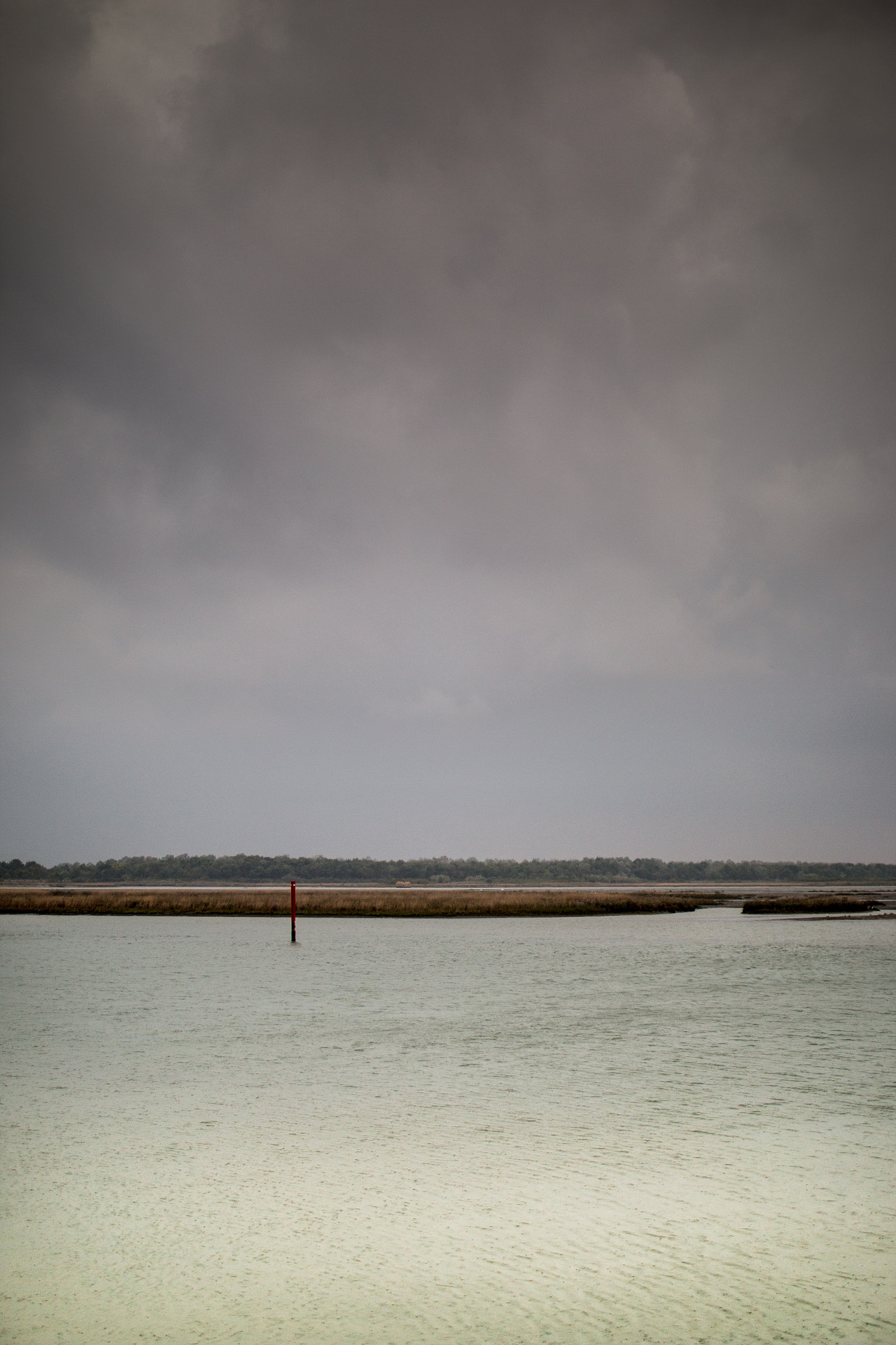 Canon EOS 70D + Canon EF 35mm F1.4L USM sample photo. Shoreline musing iii photography