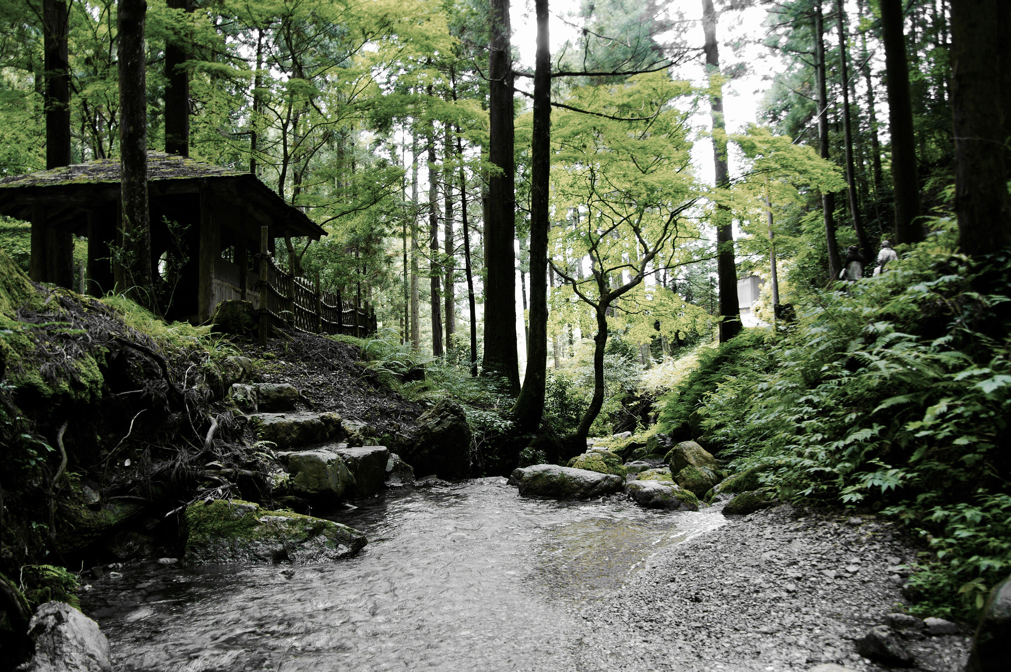 Pentax K20D sample photo. Eterna natura photography