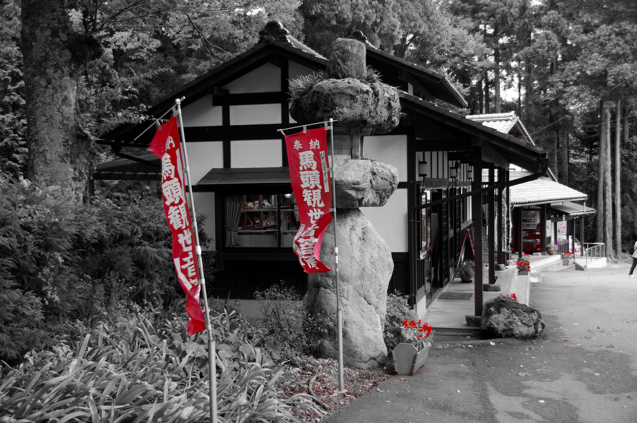 Pentax K20D sample photo. Segni particolari photography