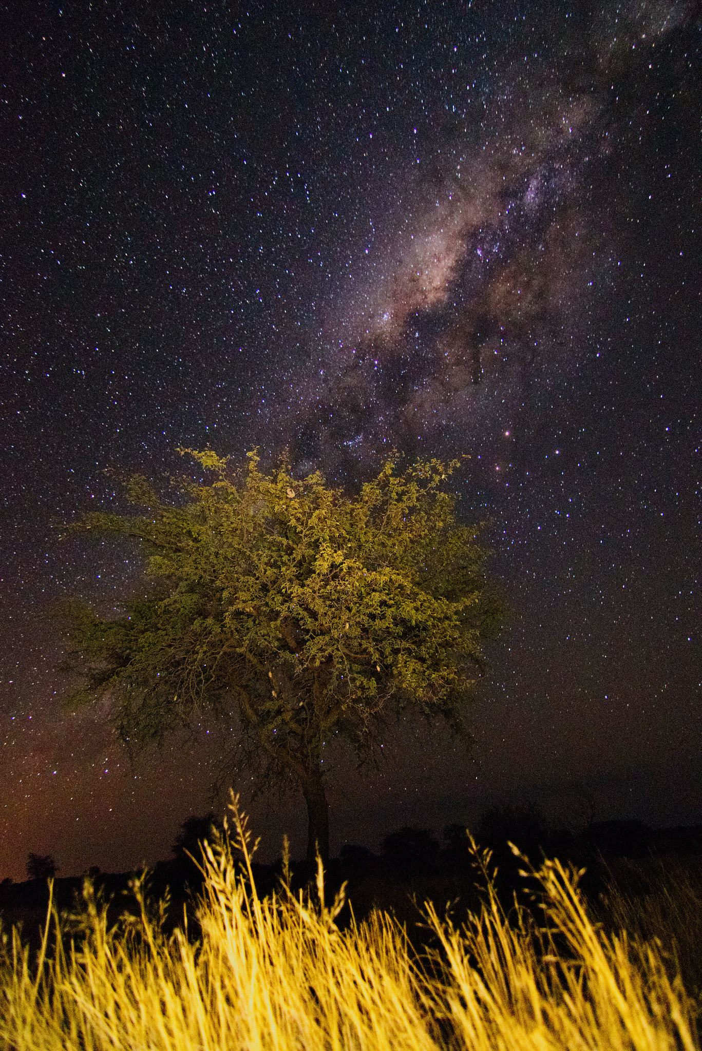Sony SLT-A58 + 20mm F2.8 sample photo. African skies  photography