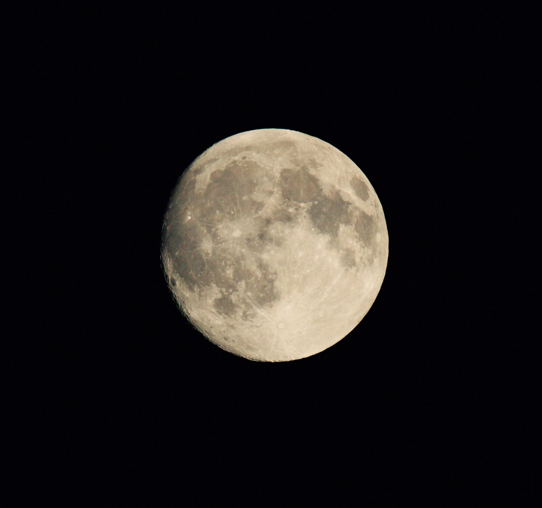Sigma 150mm f/2.8 EX DG OS HSM APO Macro sample photo