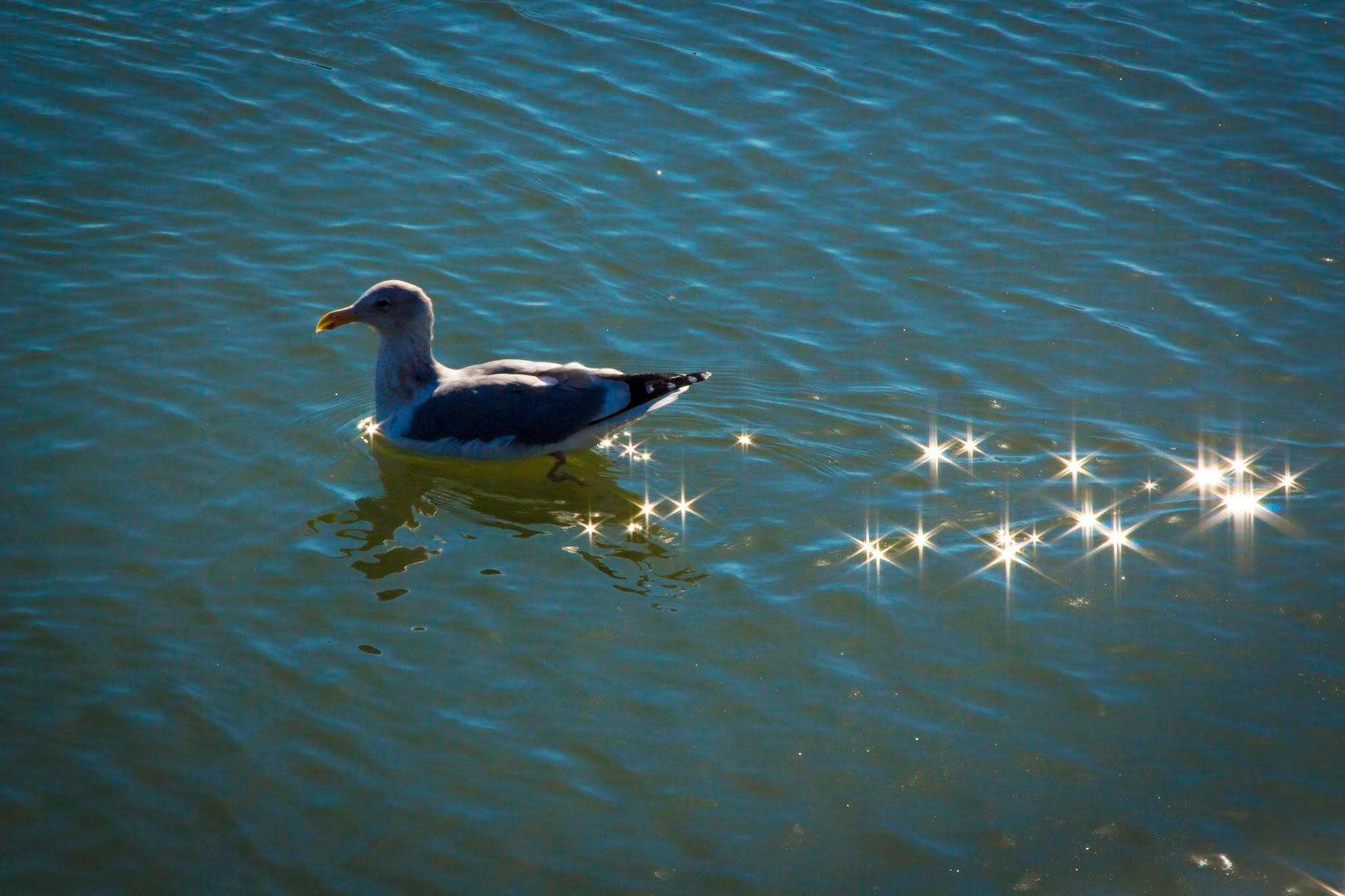 Canon EOS 650D (EOS Rebel T4i / EOS Kiss X6i) sample photo. Magic all around you. photography