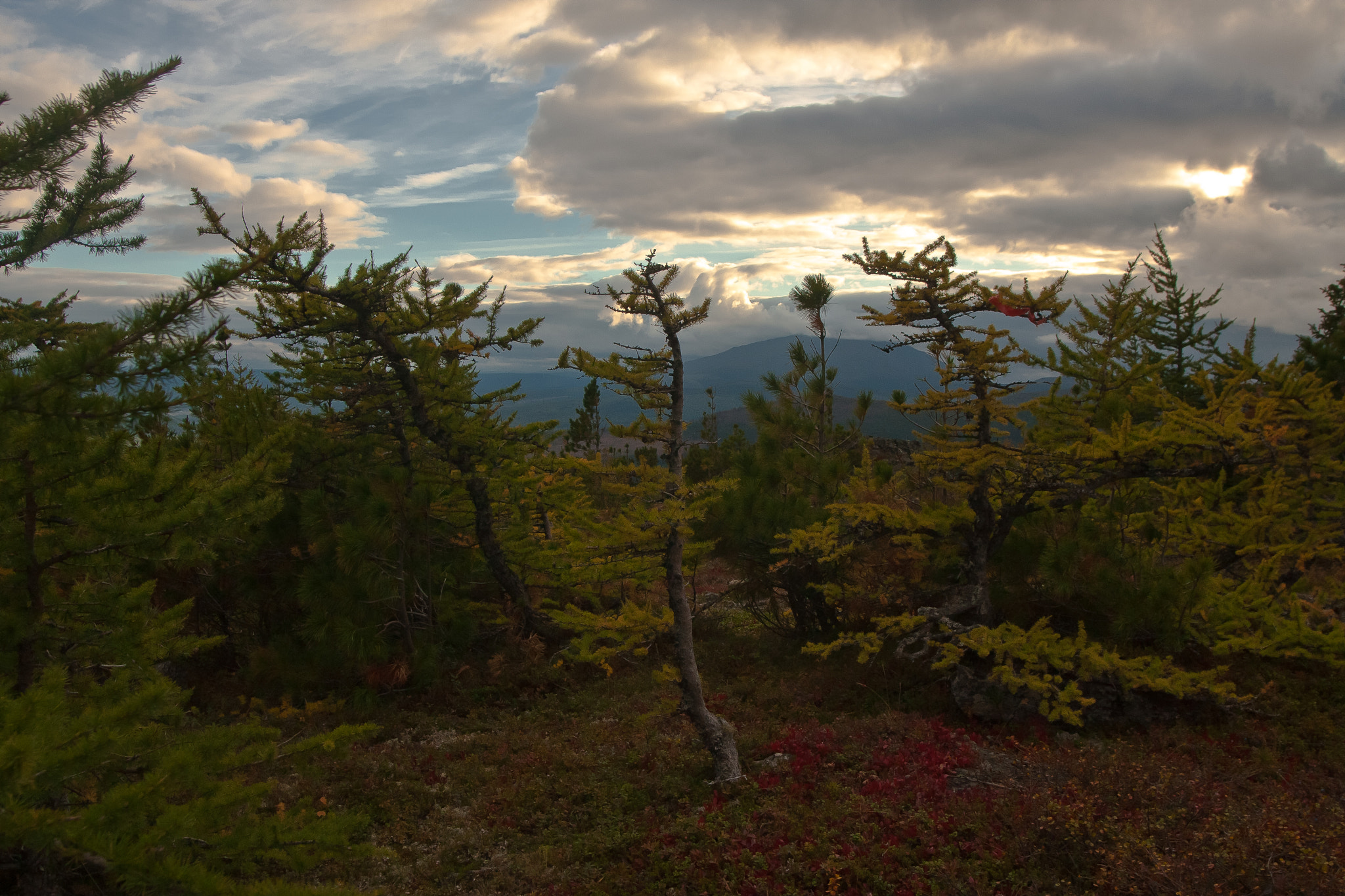 Canon EOS 40D + Sigma 20mm EX f/1.8 sample photo. Autumn. north. photography