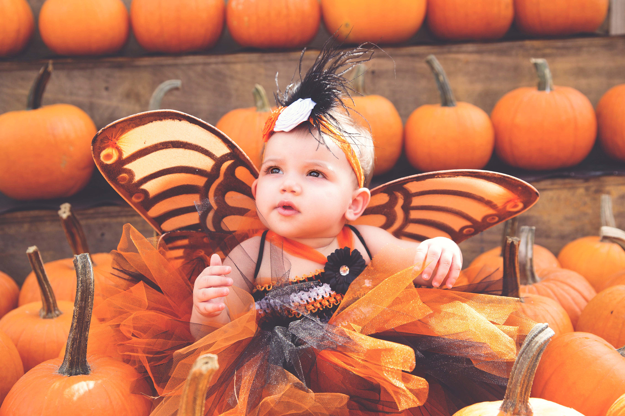 Canon EOS 6D + Canon EF 400mm f/2.8L sample photo. Pumpkin fairy baby photography