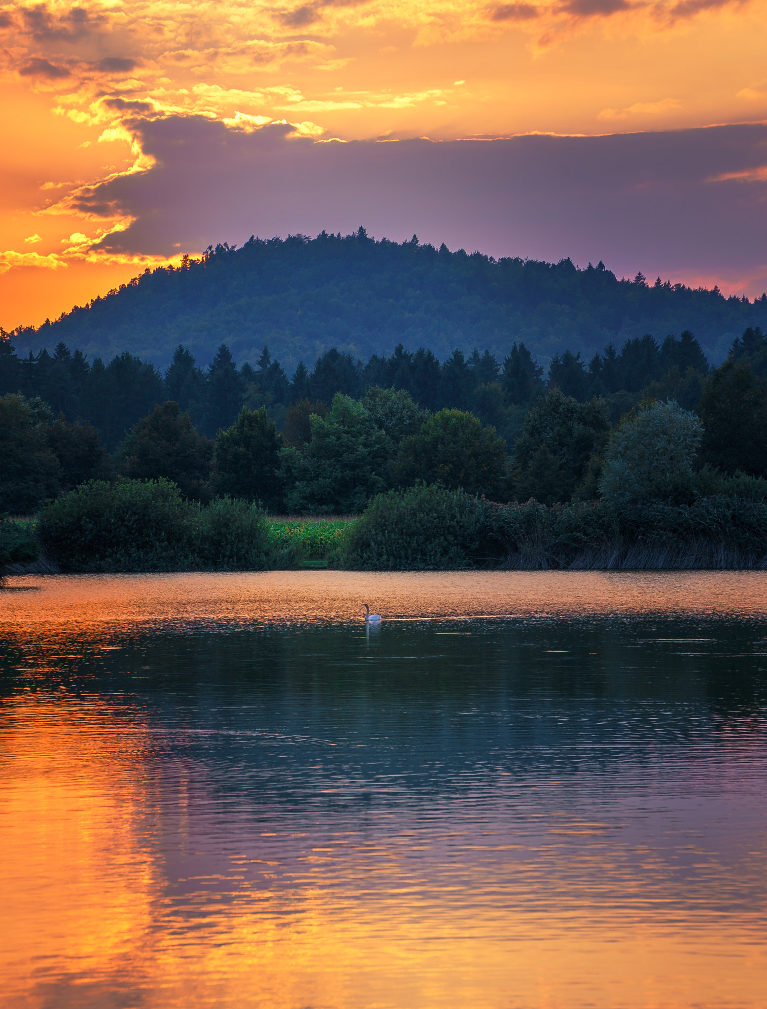 Sony a7S II + Sony FE PZ 28-135mm F4 G OSS sample photo. Alone in the golden universe photography