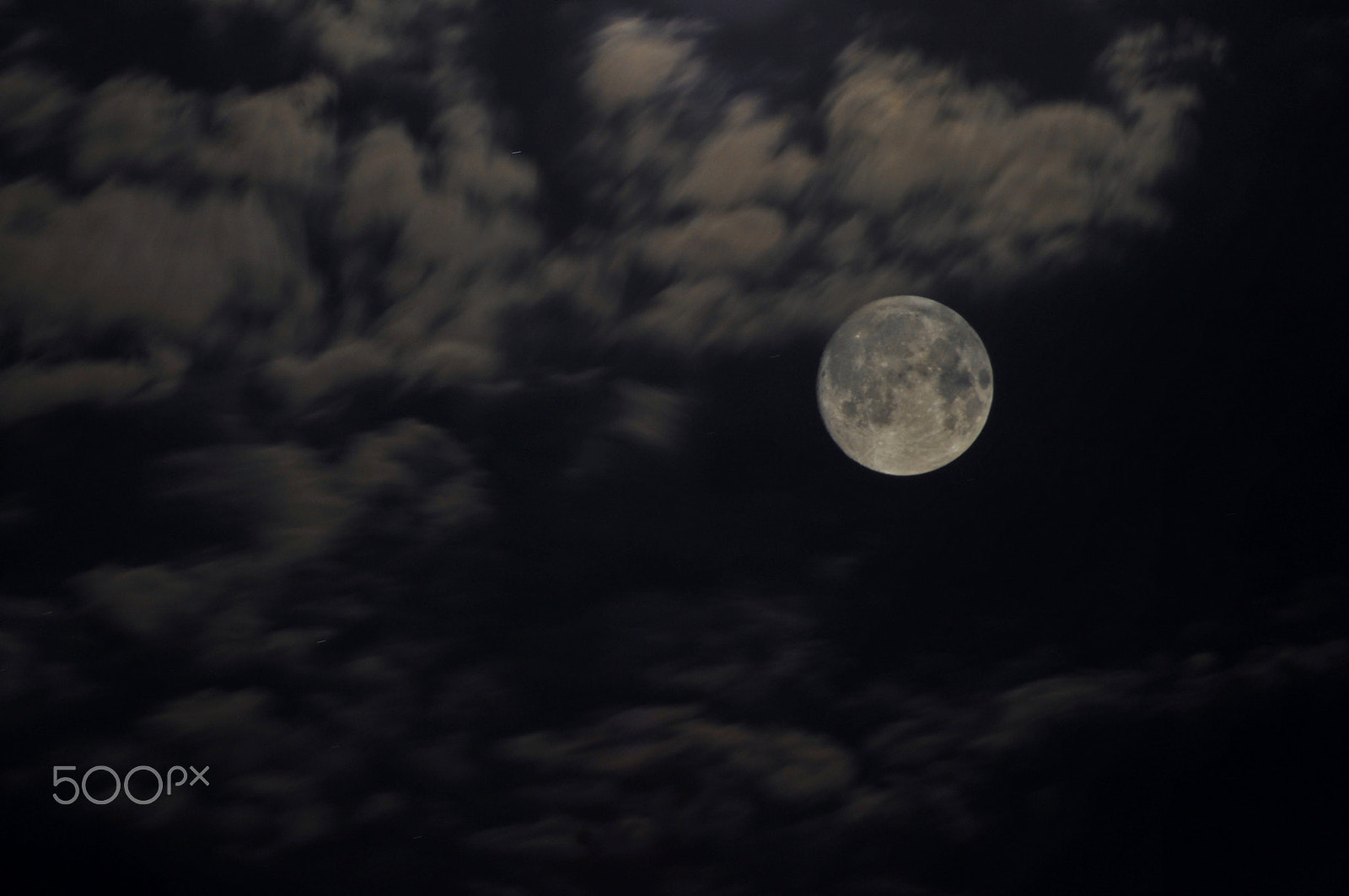 Nikon AF Nikkor 70-300mm F4-5.6G sample photo. Mid-autumn festival photography