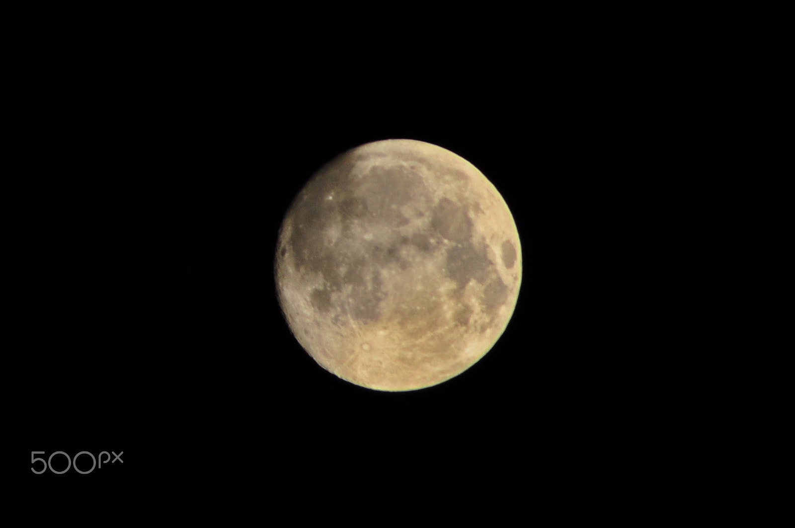 Nikon AF Nikkor 70-300mm F4-5.6G sample photo. Mid-autumn festival photography