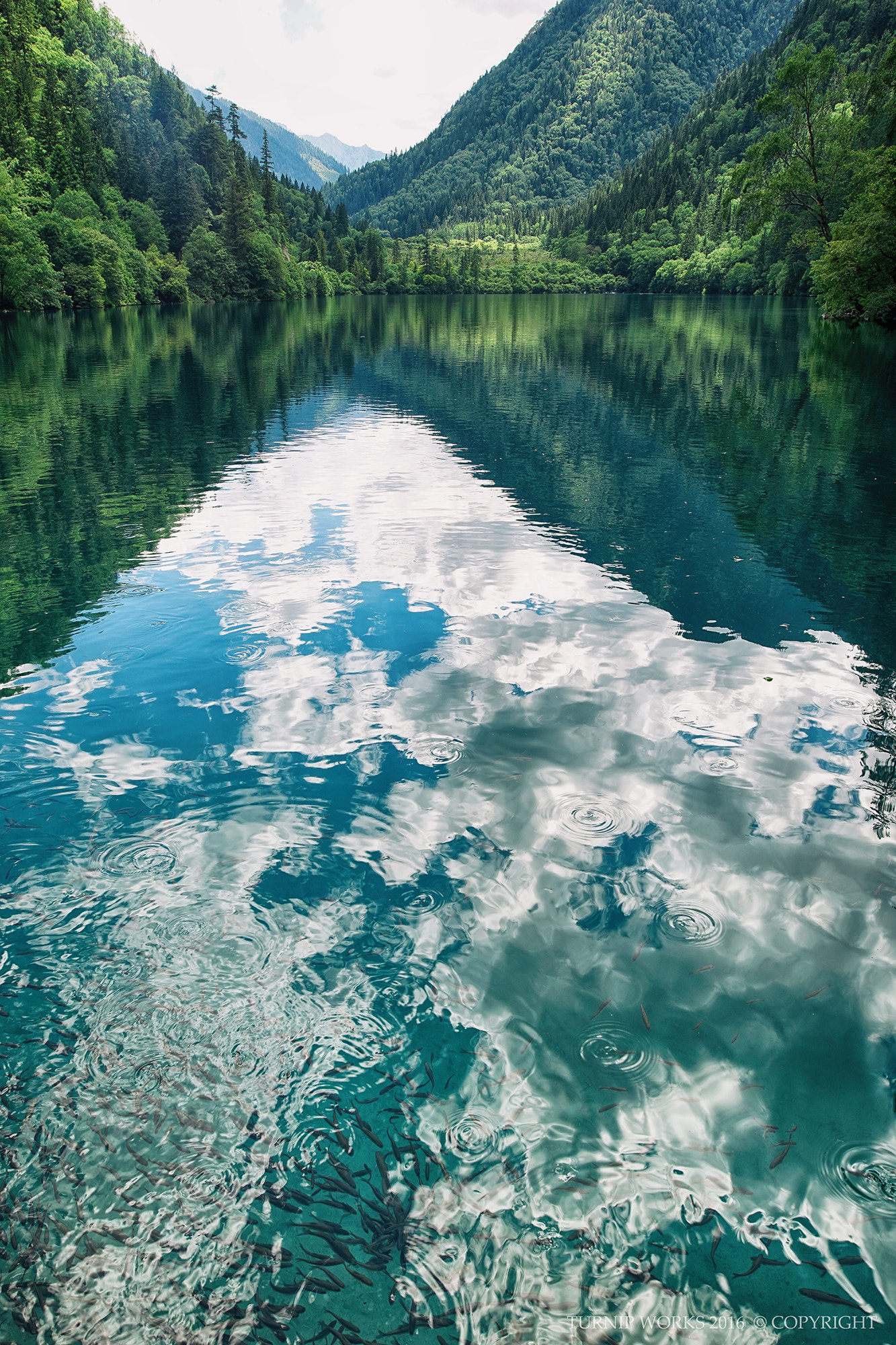 24mm F1.4 sample photo. Jiuzhaigou & huang long photography