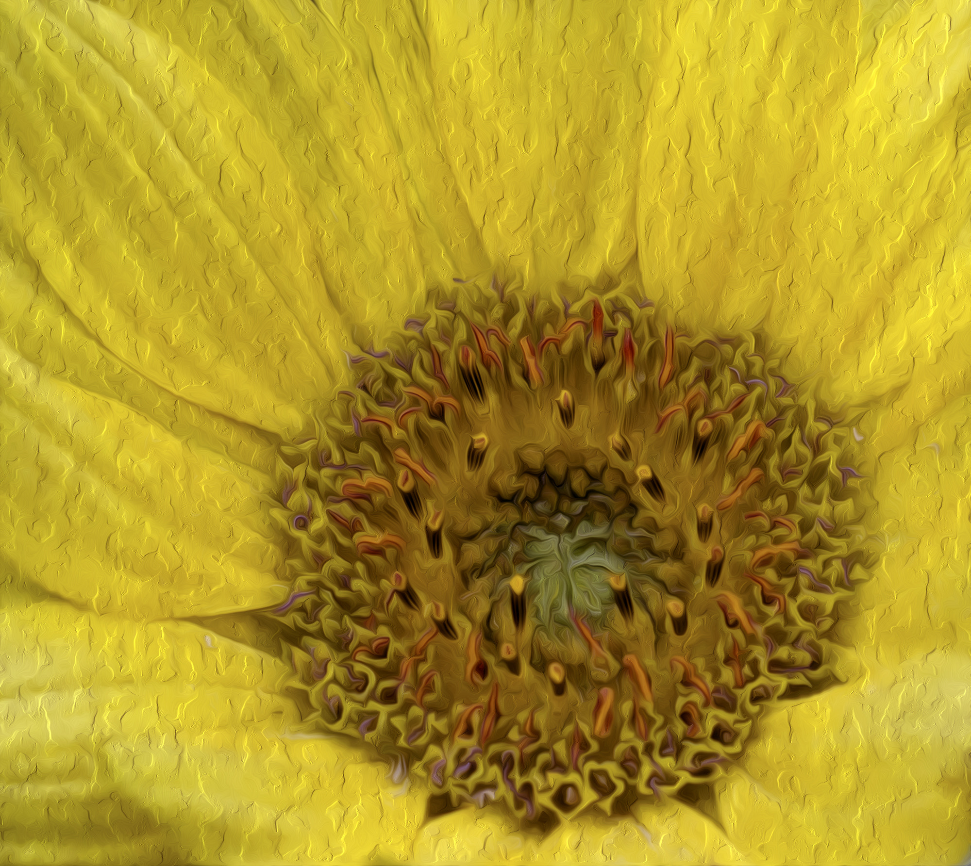 Sigma 150mm f/2.8 EX DG OS HSM APO Macro sample photo. Sun flower photography