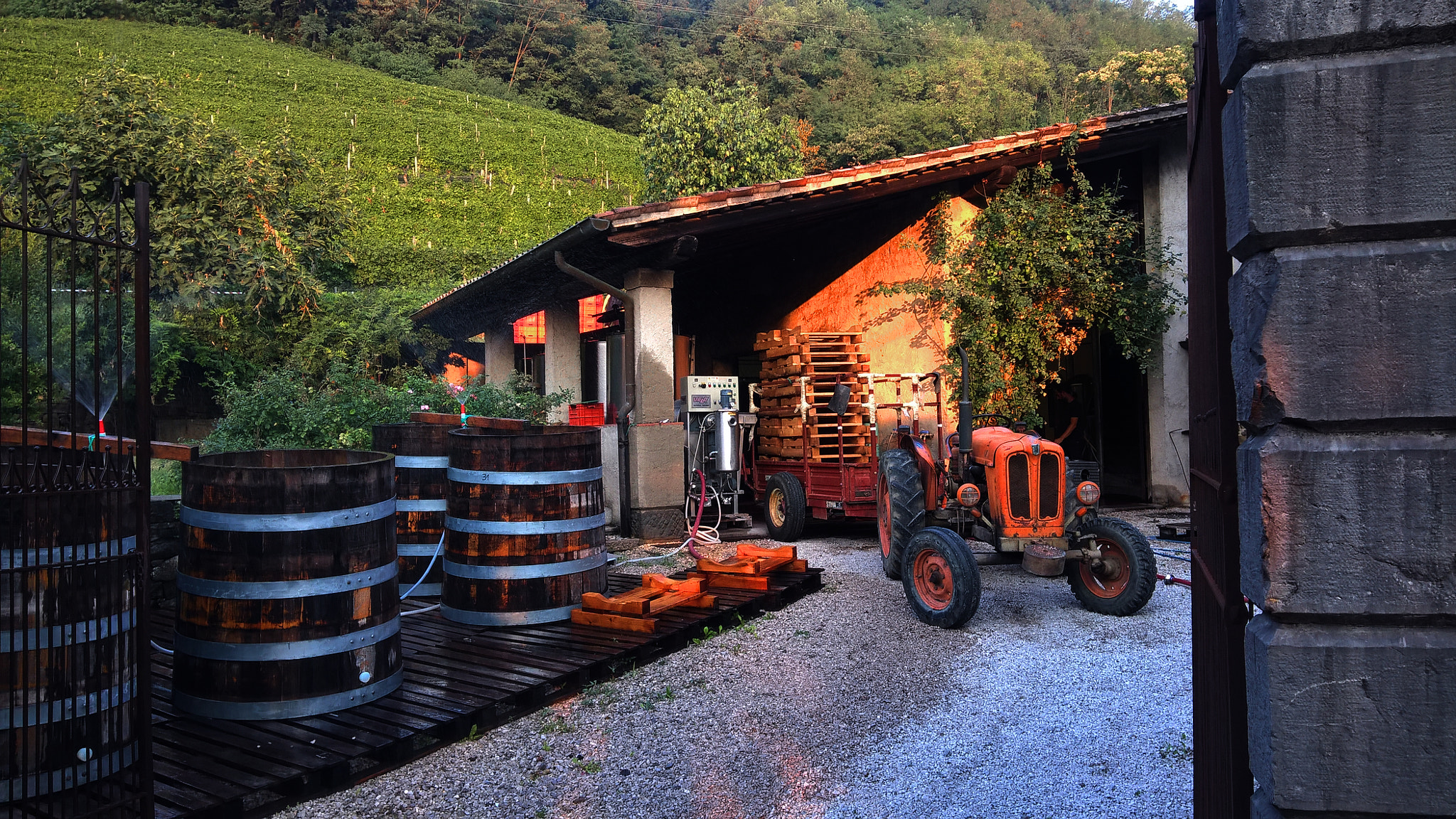 Microsoft Lumia 640 XL sample photo. Harvest time photography