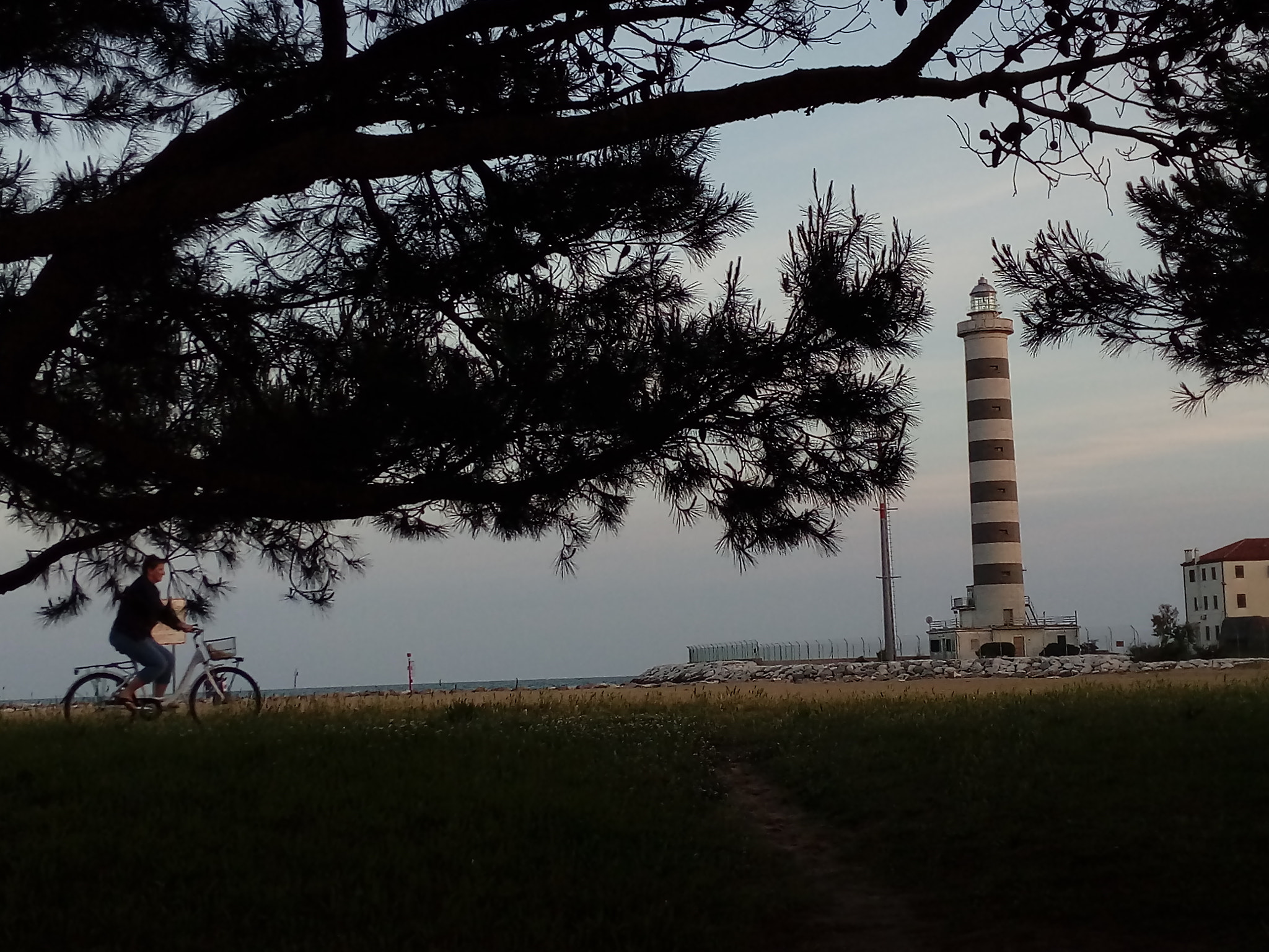 HUAWEI GR3 sample photo. A unexpected cyclist photography