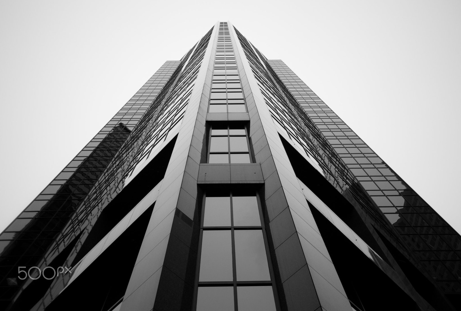 Canon EOS 80D + Sigma 10-20mm F4-5.6 EX DC HSM sample photo. Lurking giants photography