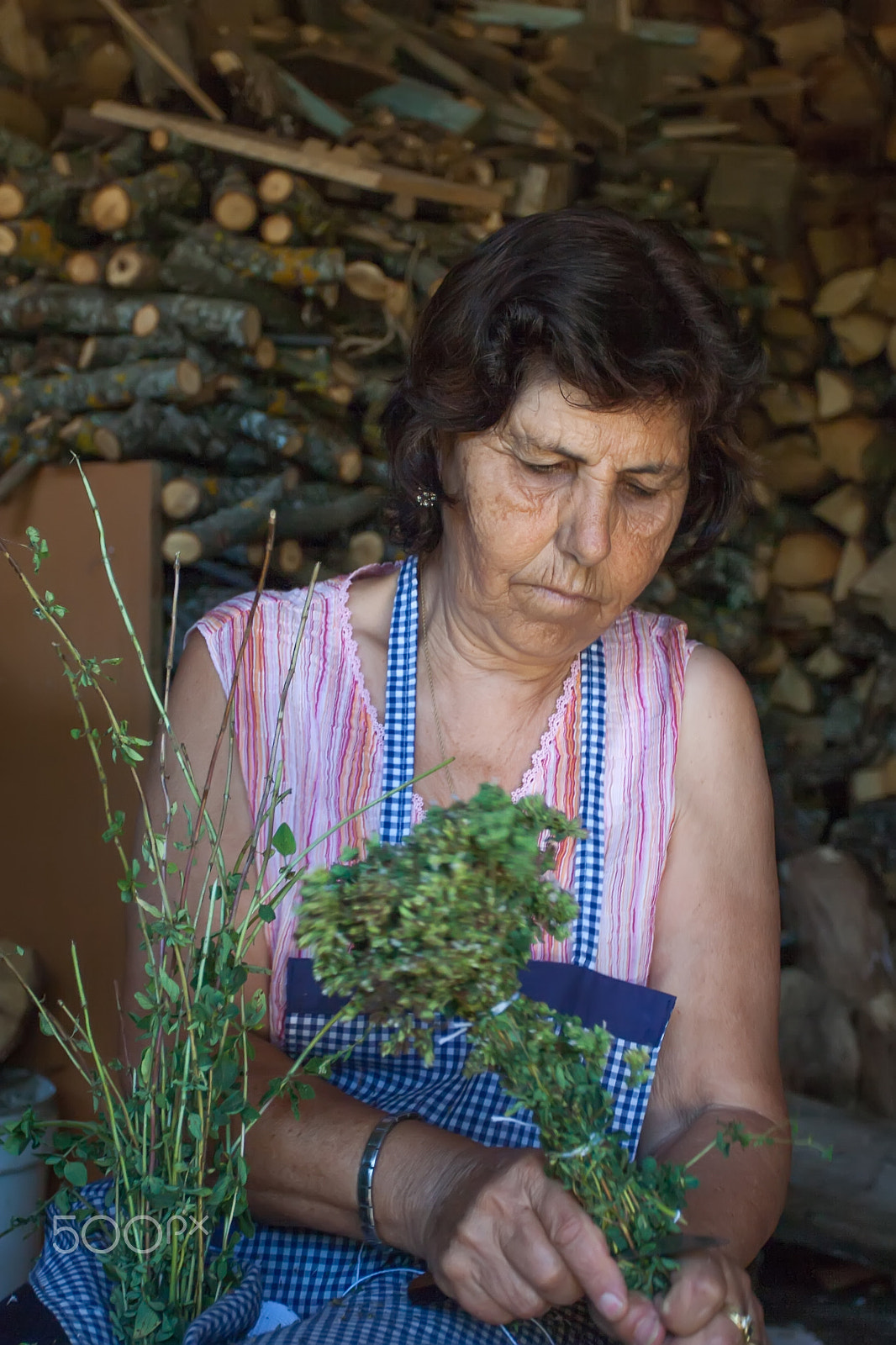 Canon EOS 30D + Canon EF 17-40mm F4L USM sample photo. Farmer cutting sprigs of oregano and tying them into bundles. photography