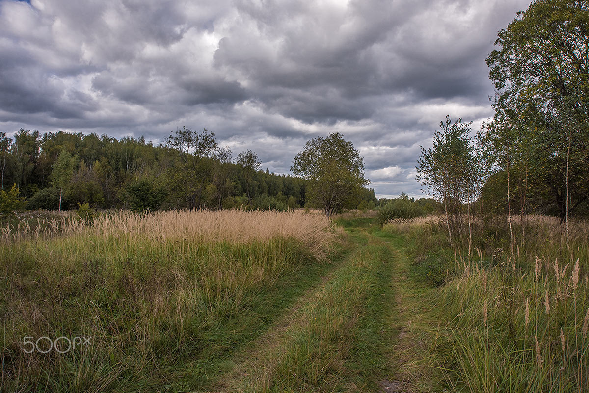 AF Zoom-Nikkor 28-105mm f/3.5-4.5D IF sample photo. Осенний пейзаж photography