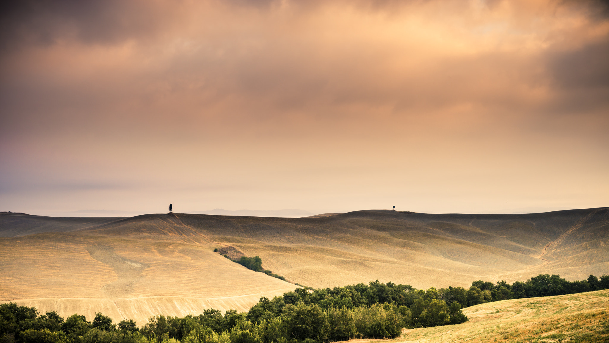 Nikon D800E + Sigma 50mm F1.4 DG HSM Art sample photo. Toscana ii photography