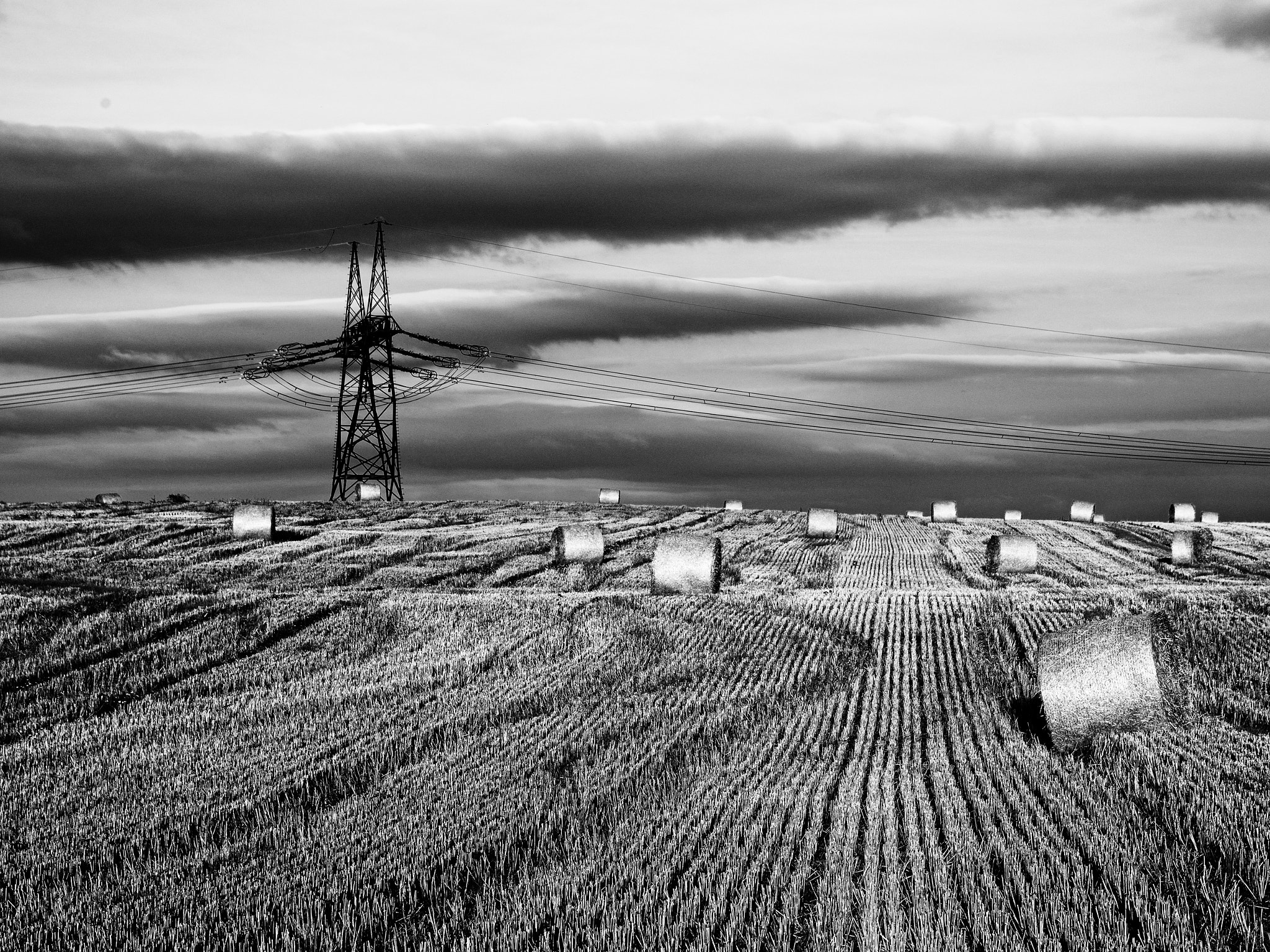 Nikon D600 + Sigma 24-105mm F4 DG OS HSM Art sample photo. Field photography