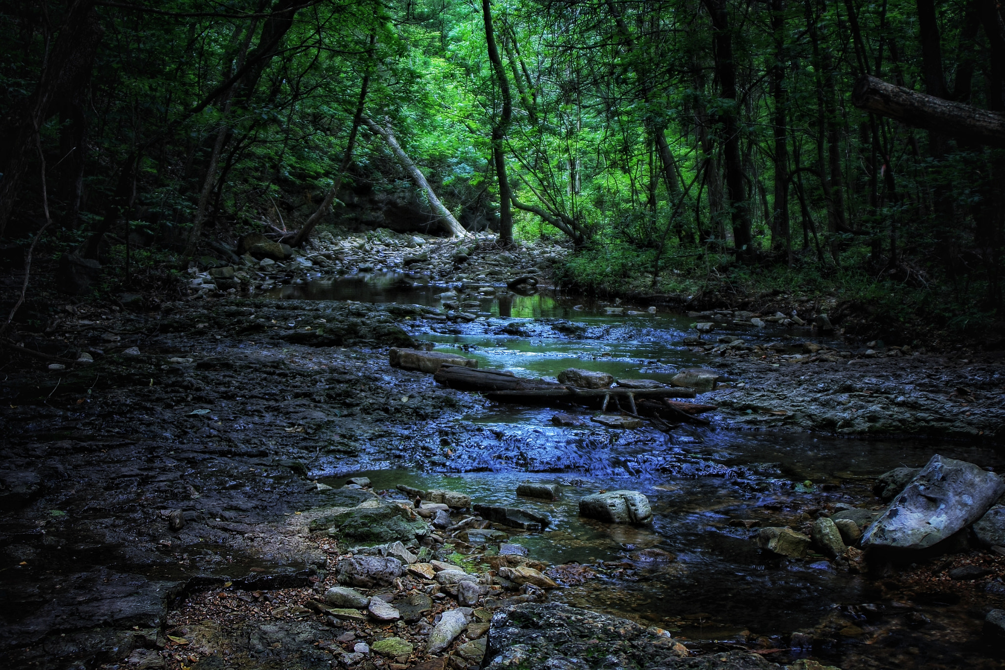 Tamron AF 28-200mm F3.8-5.6 XR Di Aspherical (IF) Macro sample photo. Dark woodland stream photography