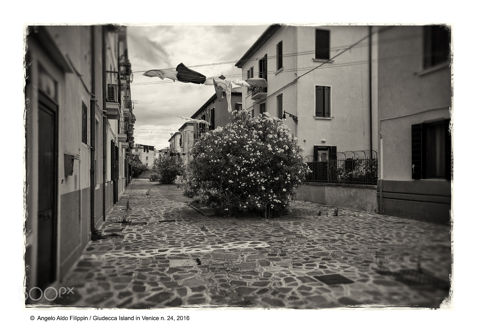 Sigma 15-30mm f/3.5-4.5 EX DG Aspherical sample photo. Giudecca island in venice 2016 n.24 photography