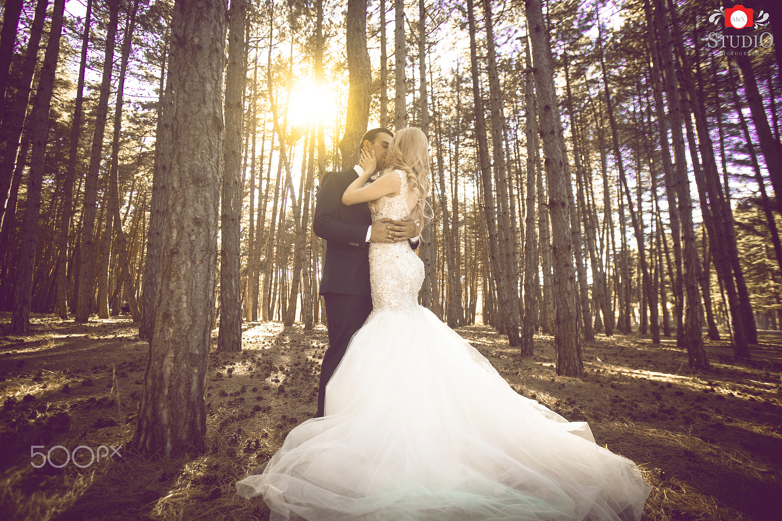 Canon EOS 6D + Canon EF 17-35mm f/2.8L sample photo. Img photography
