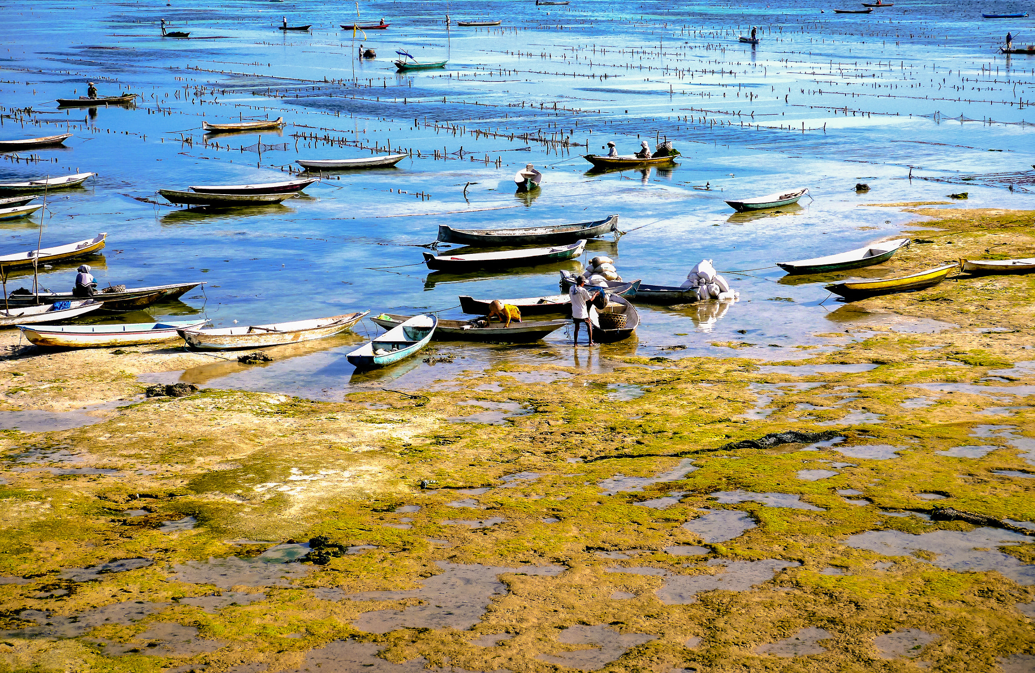 LUMIX G VARIO PZ 14-42/F3.5-5.6 sample photo. Nusa lembongan photography