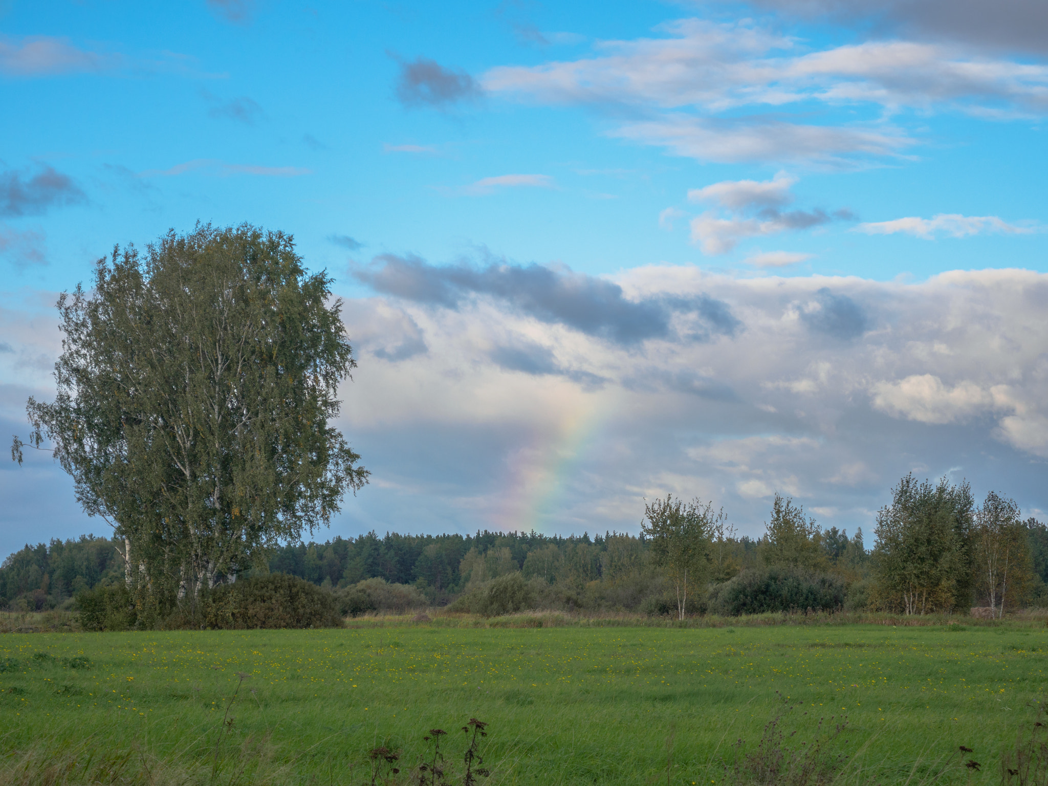 LUMIX G VARIO 14-42/F3.5-5.6 II sample photo. Rainbow photography