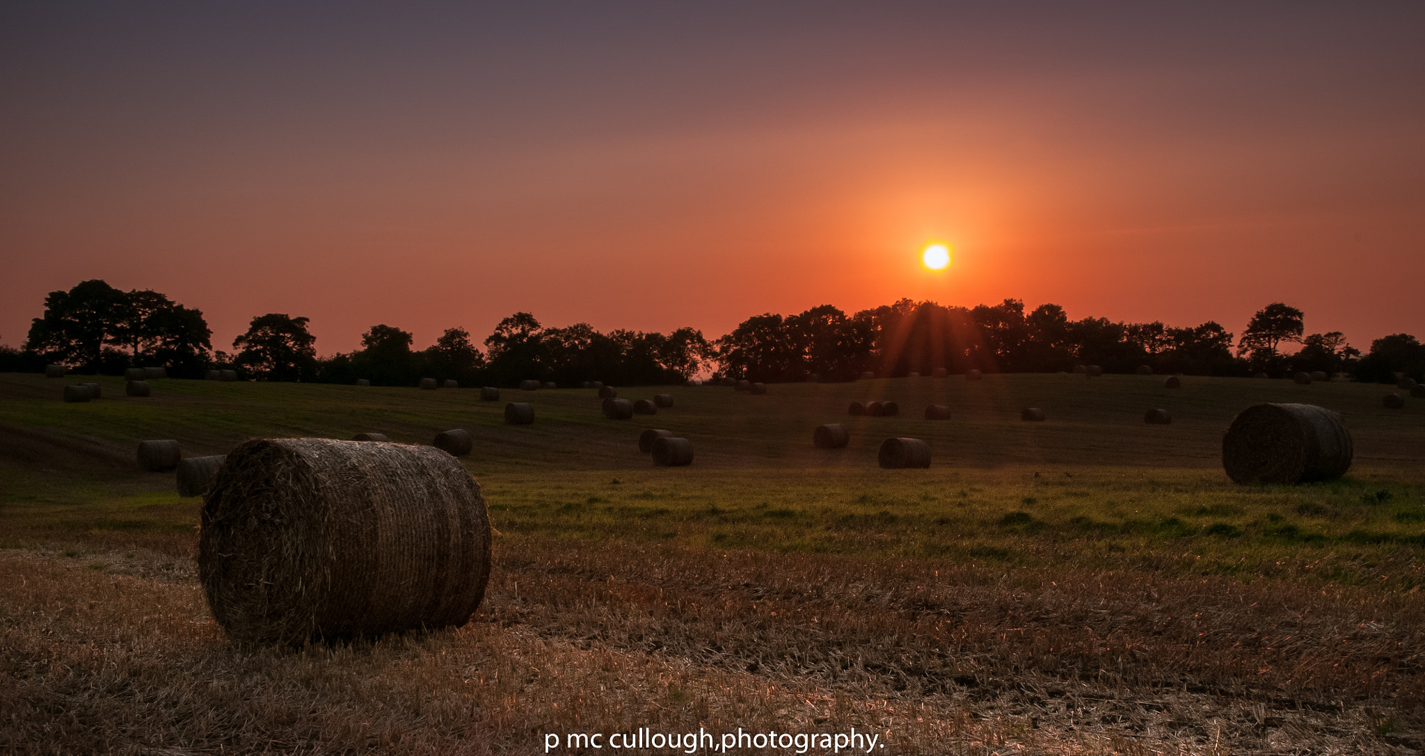Nikon D300 sample photo. Dark hedges bales sunset. photography