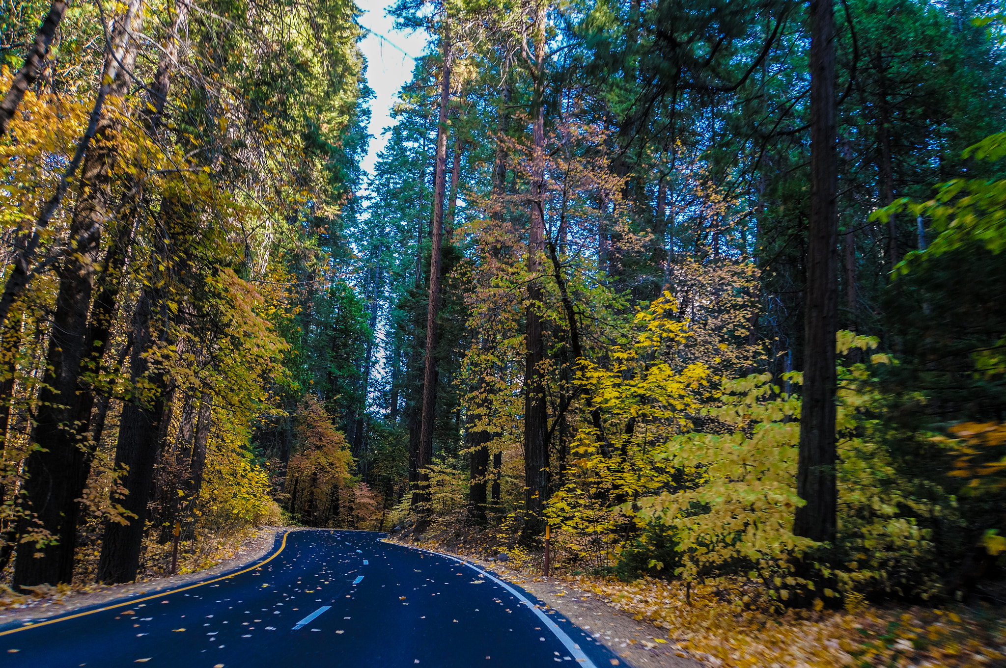 Sony E 18-200mm F3.5-6.3 OSS LE sample photo. Yosemite park road photography