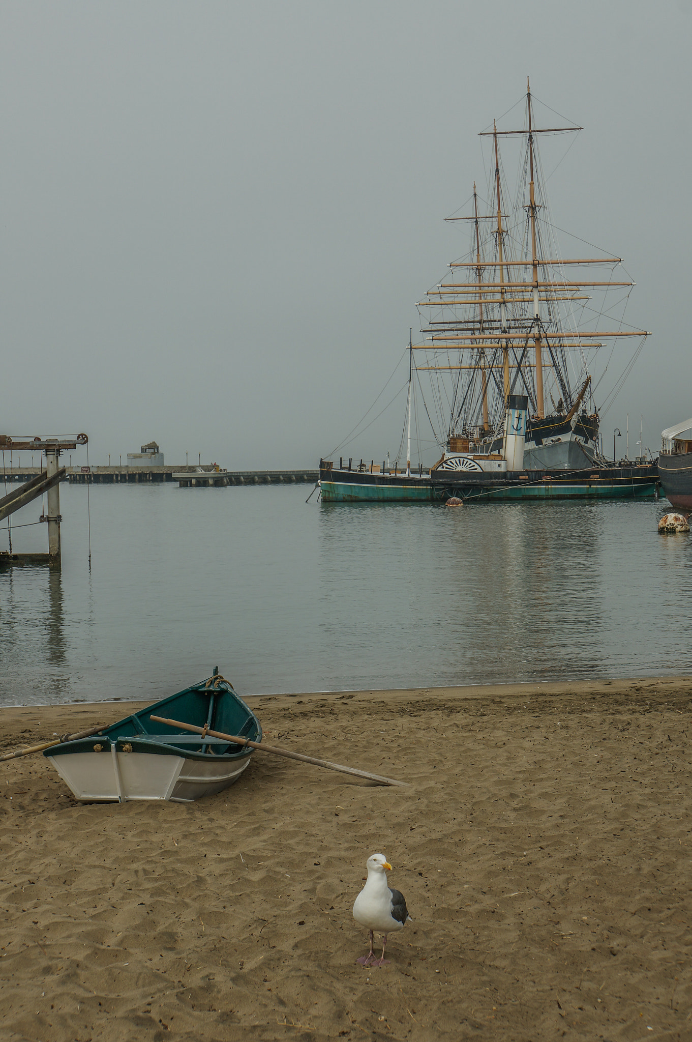 Sony E 18-200mm F3.5-6.3 OSS LE sample photo. Beach, seagull & boat photography