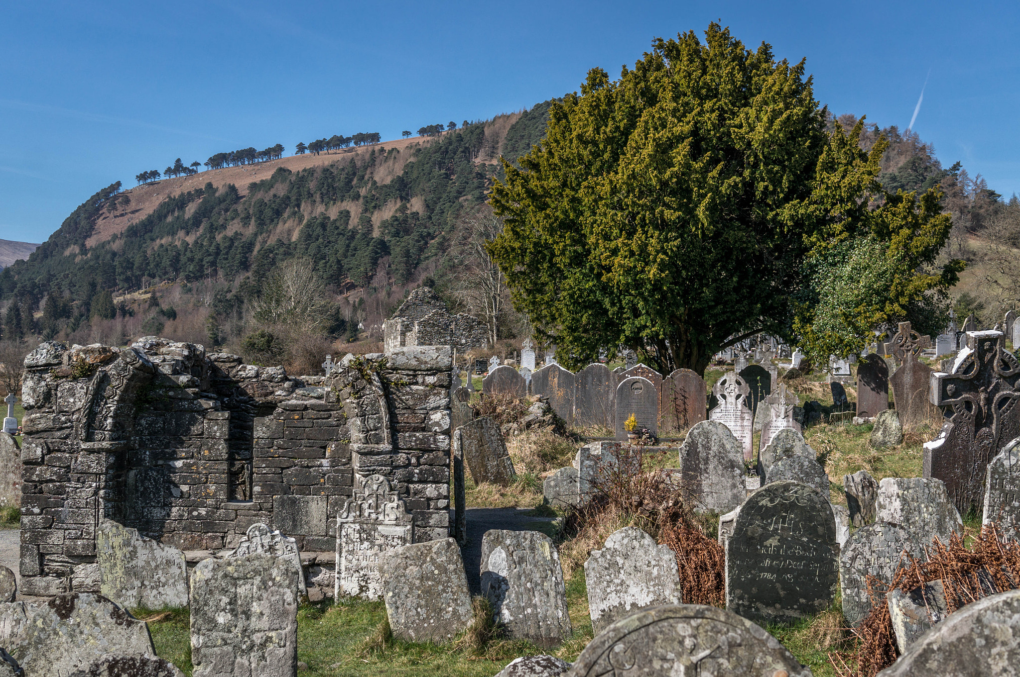 Sony Alpha NEX-6 + Sigma 30mm F2.8 EX DN sample photo. Cementery photography