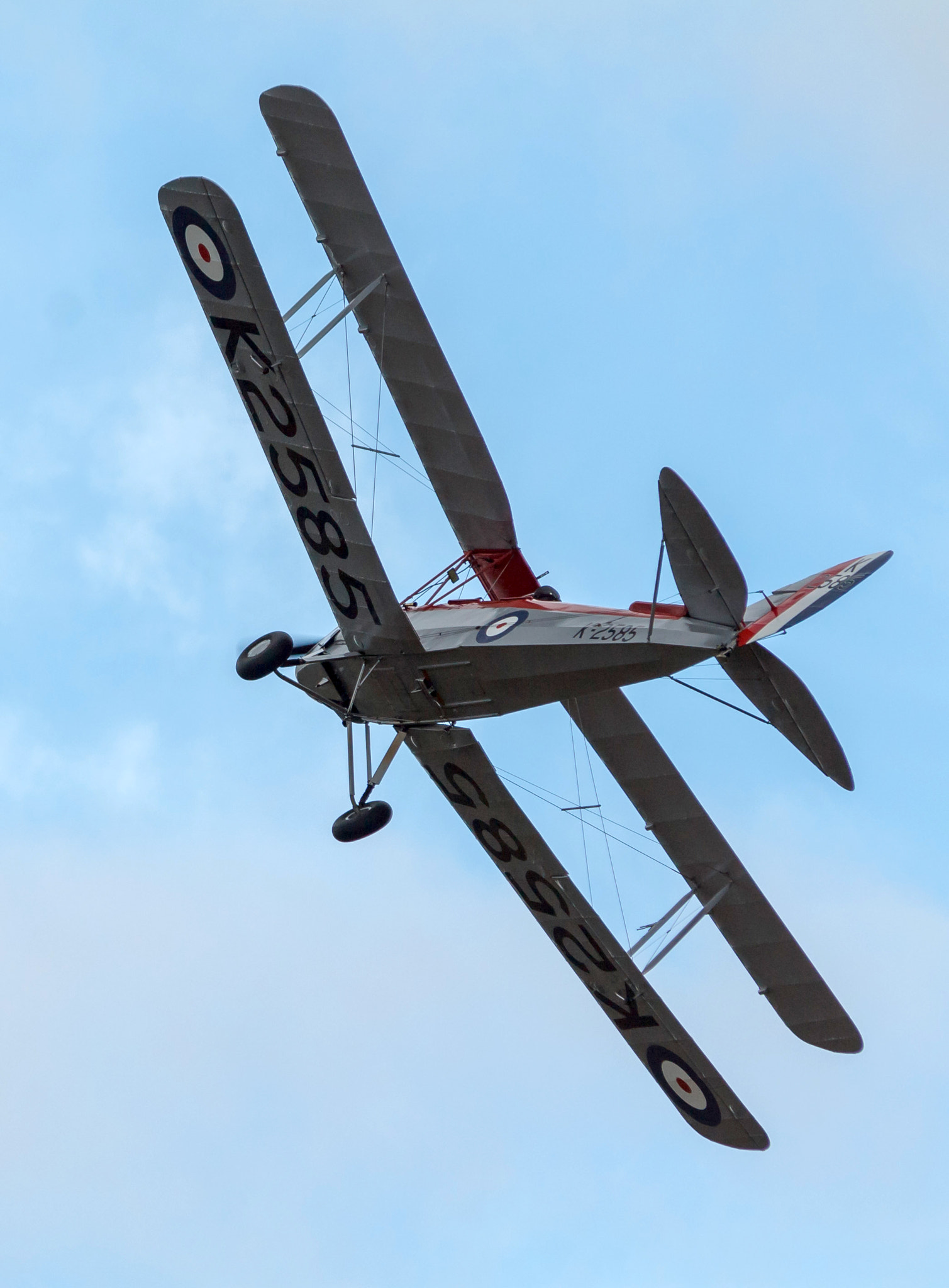 Canon EF 70-300mm F4-5.6 IS USM sample photo. Tiger moth photography