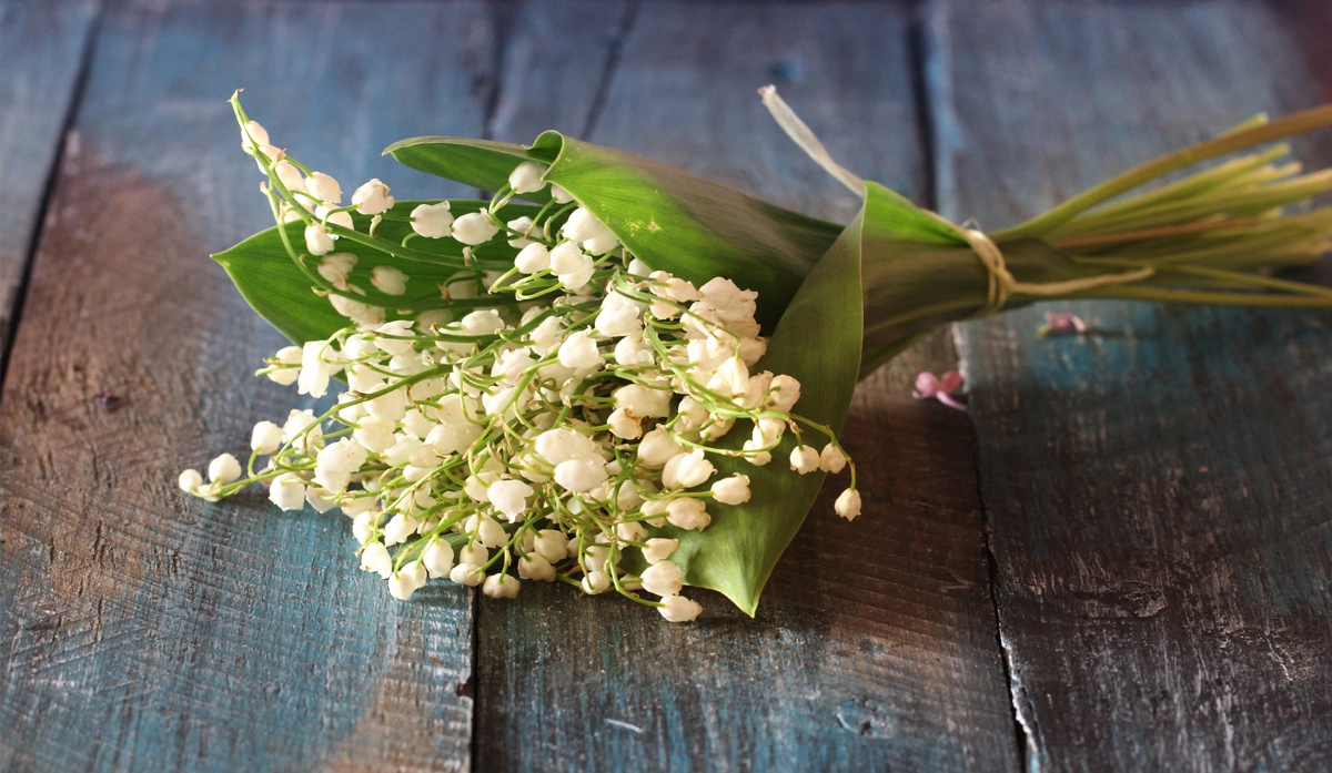 Canon EOS 60D + Canon EF 100mm F2.8L Macro IS USM sample photo. Bouquet of spring photography