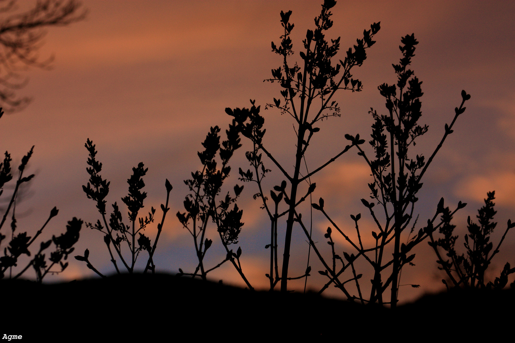 Canon EF 75-300mm f/4-5.6 USM sample photo. Atardeceres photography