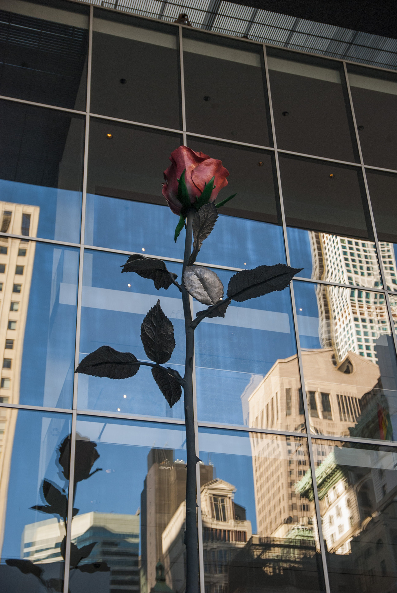 Sigma 17-50mm F2.8 EX DC OS HSM sample photo. Art reflected photography