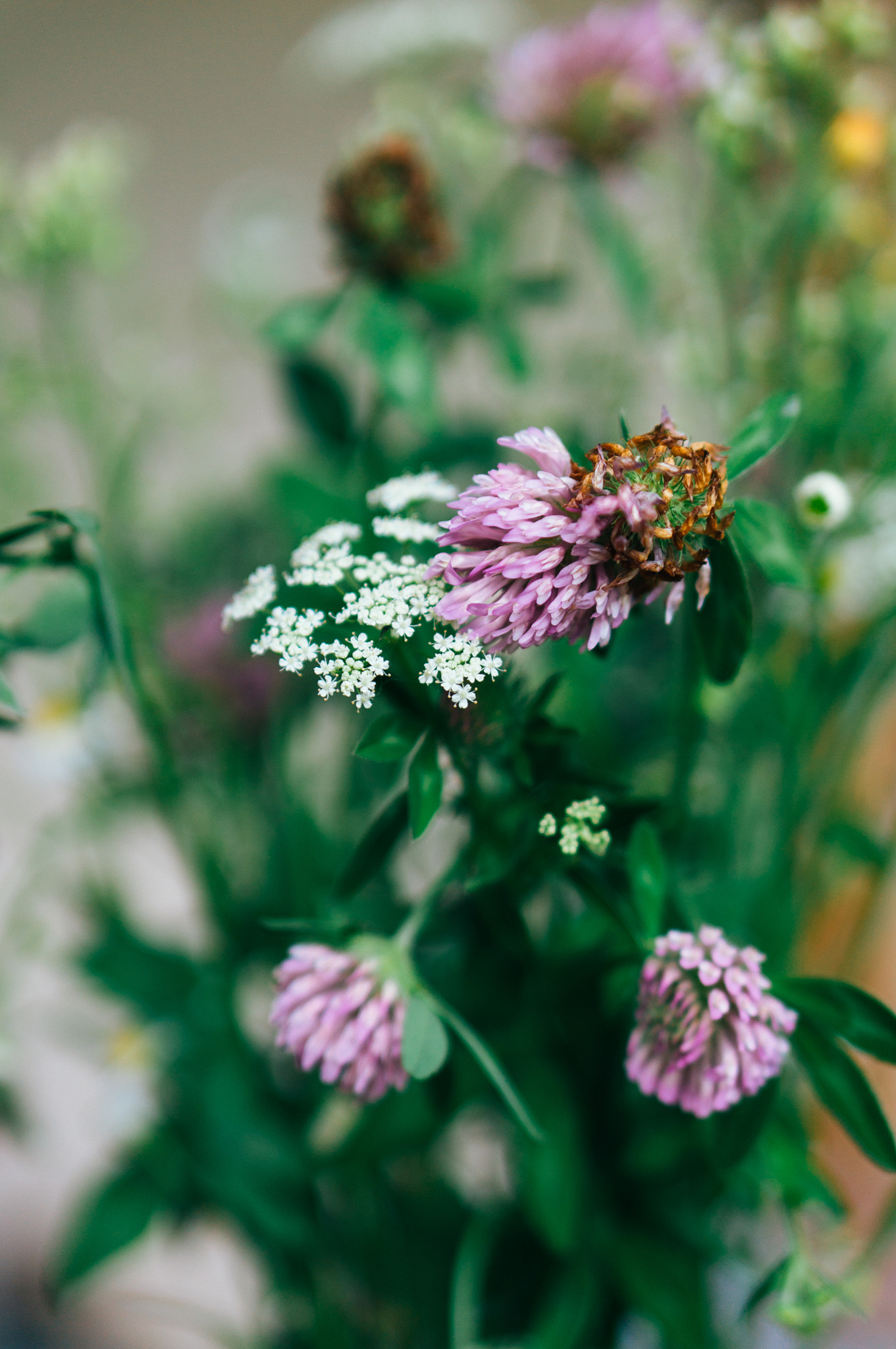 Sony Alpha NEX-3N + E 50mm F1.8 OSS sample photo. Bouquet photography