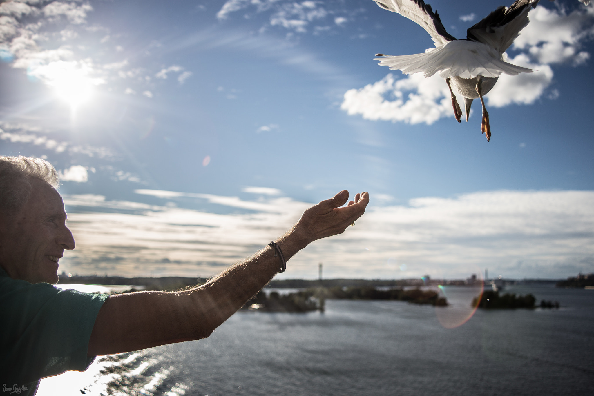 Canon EF 28-80mm f/3.5-5.6 USM sample photo. Feeding the seagull photography