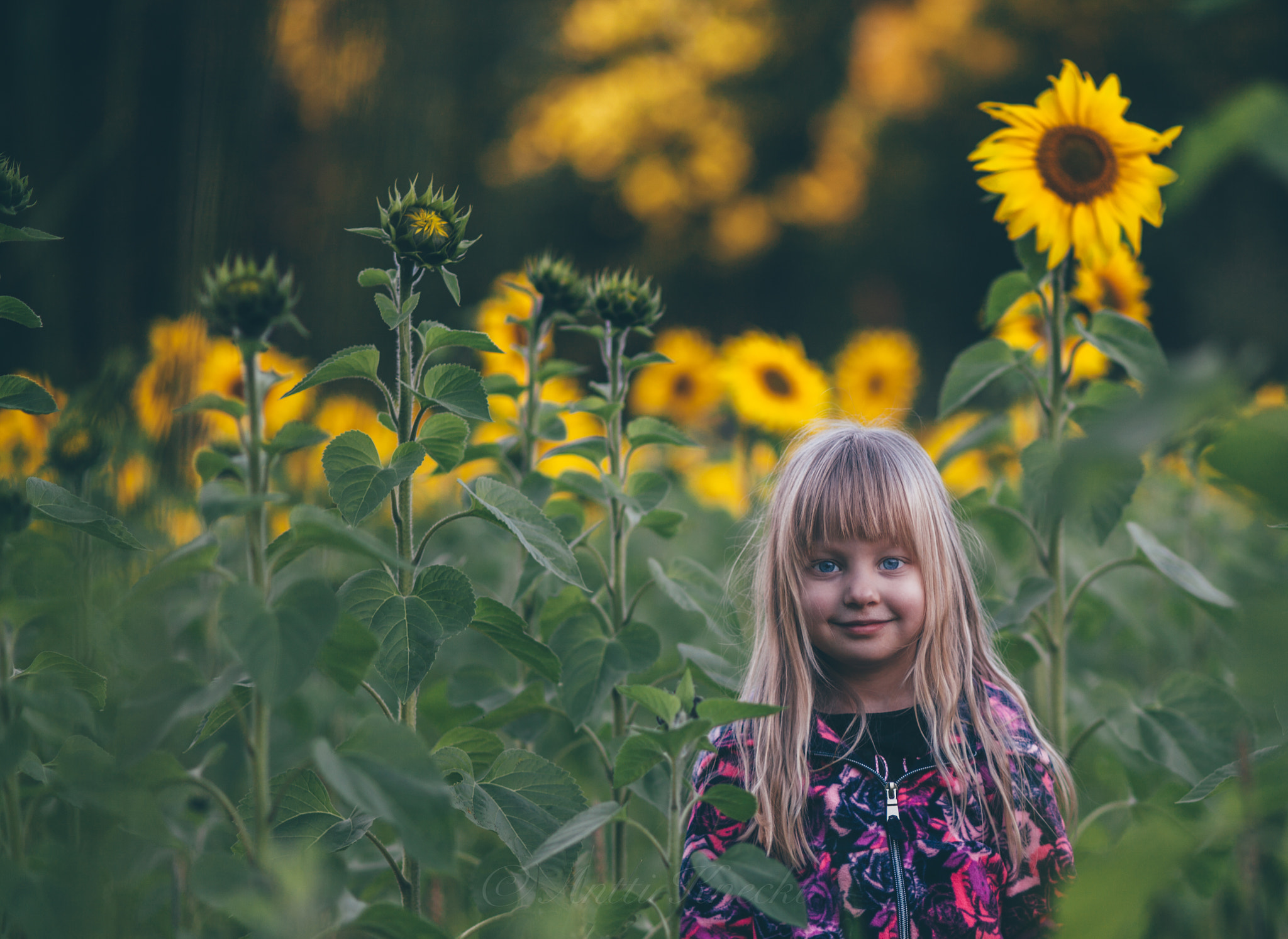 Canon EF 100mm F2.0 USM sample photo. Summerfiilings photography