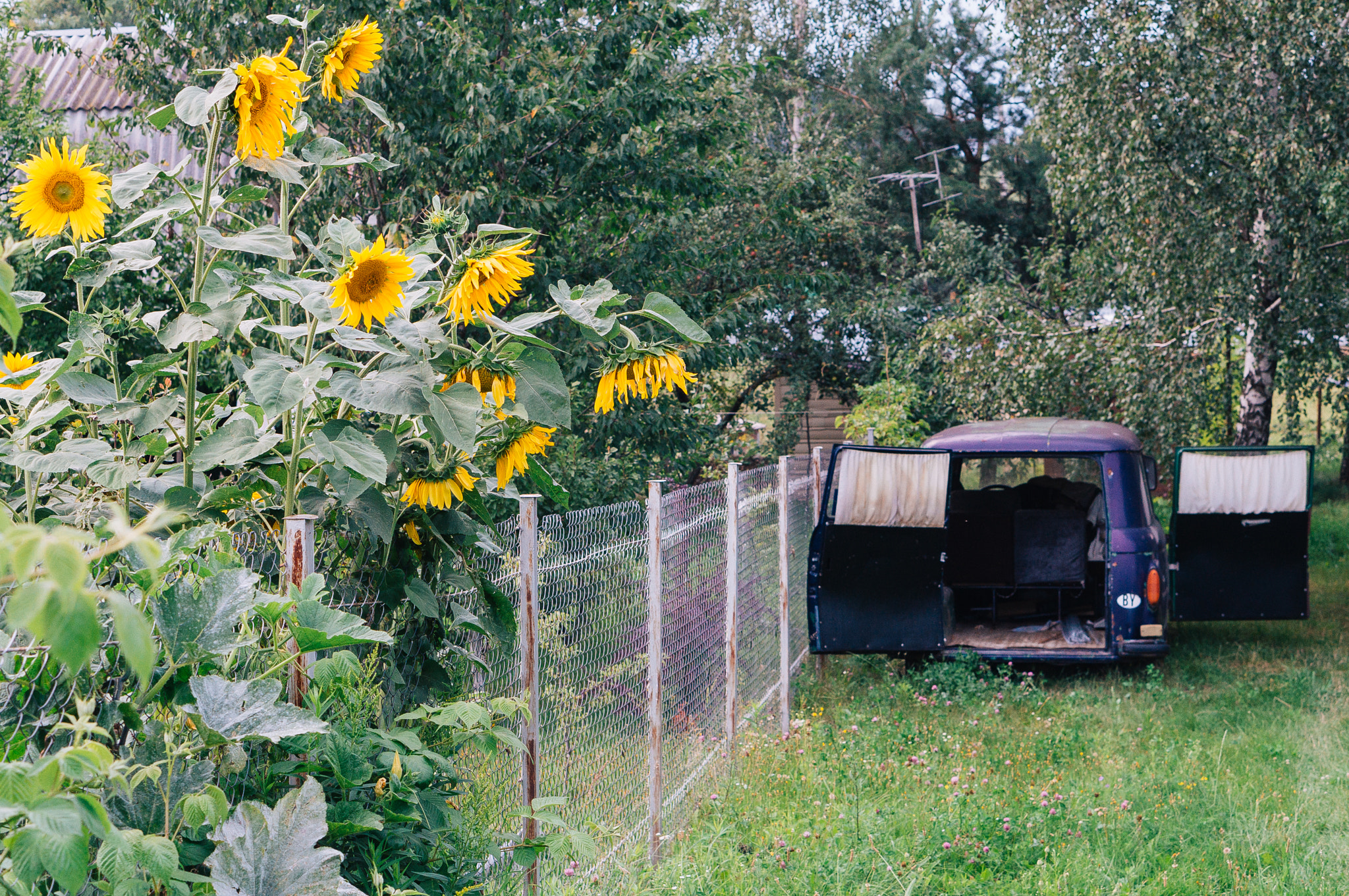 Sony Alpha NEX-3N + E 50mm F1.8 OSS sample photo. Country house photography