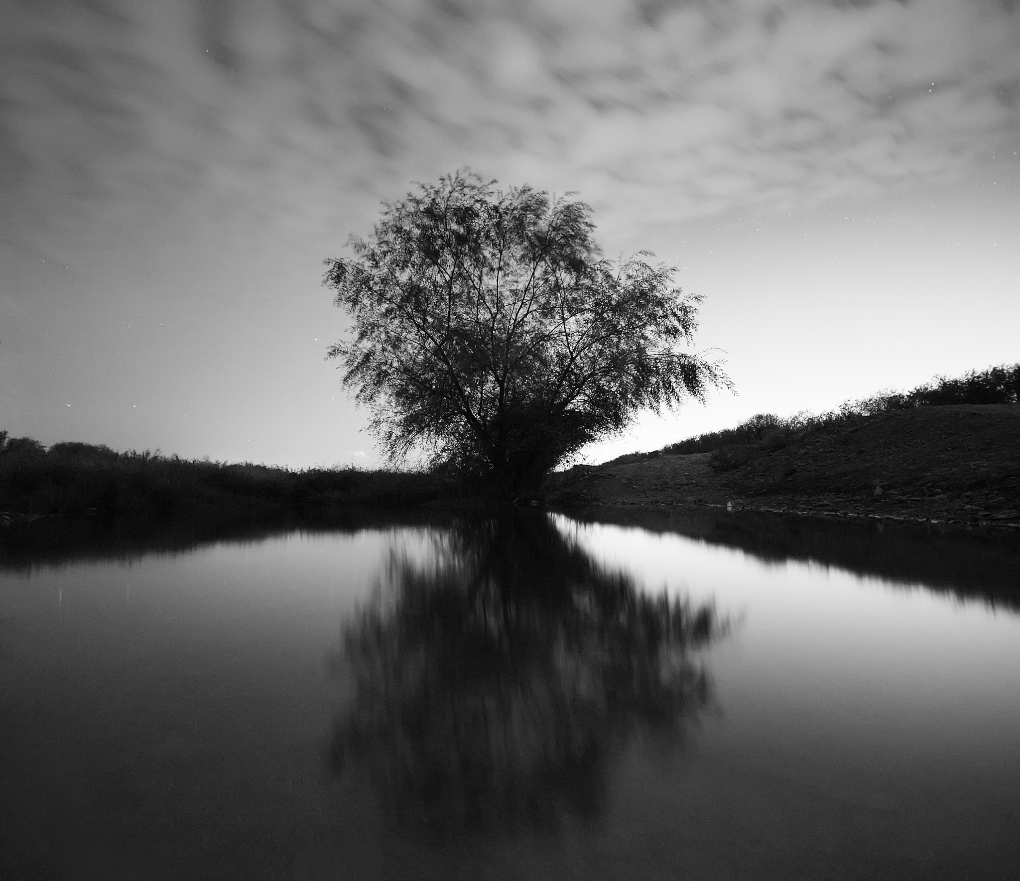 Tokina AT-X Pro 12-24mm F4 (IF) DX sample photo. Lonely tree near the water photography