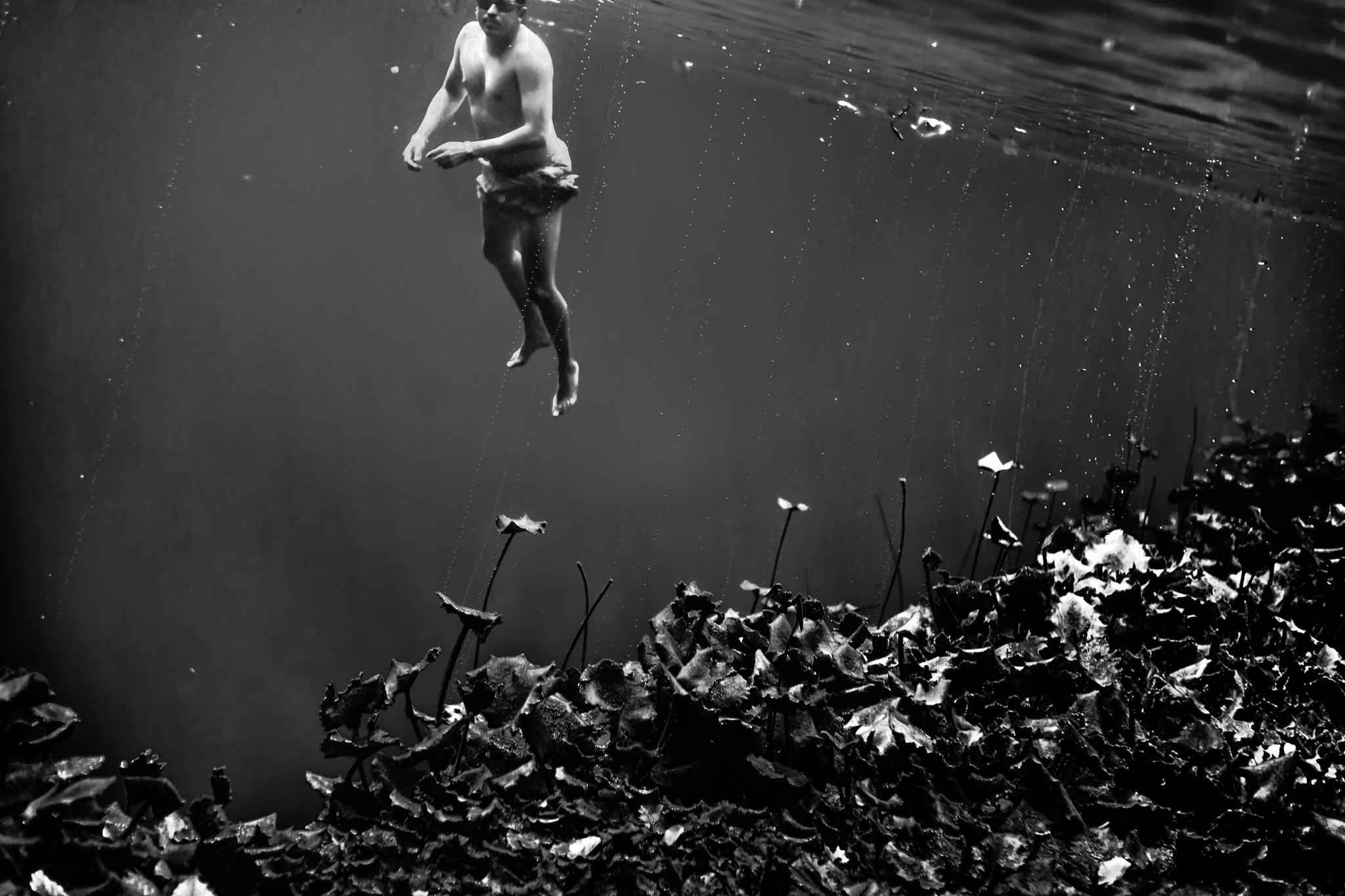 Nikon D3X sample photo. F underwater male photography
