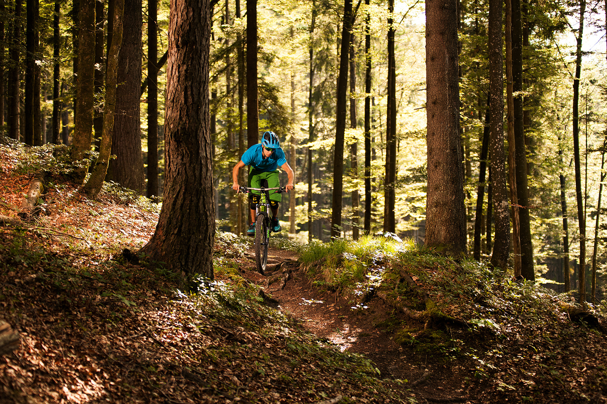 Sigma 70-200mm F2.8 EX DG OS HSM sample photo. Sunny trail photography