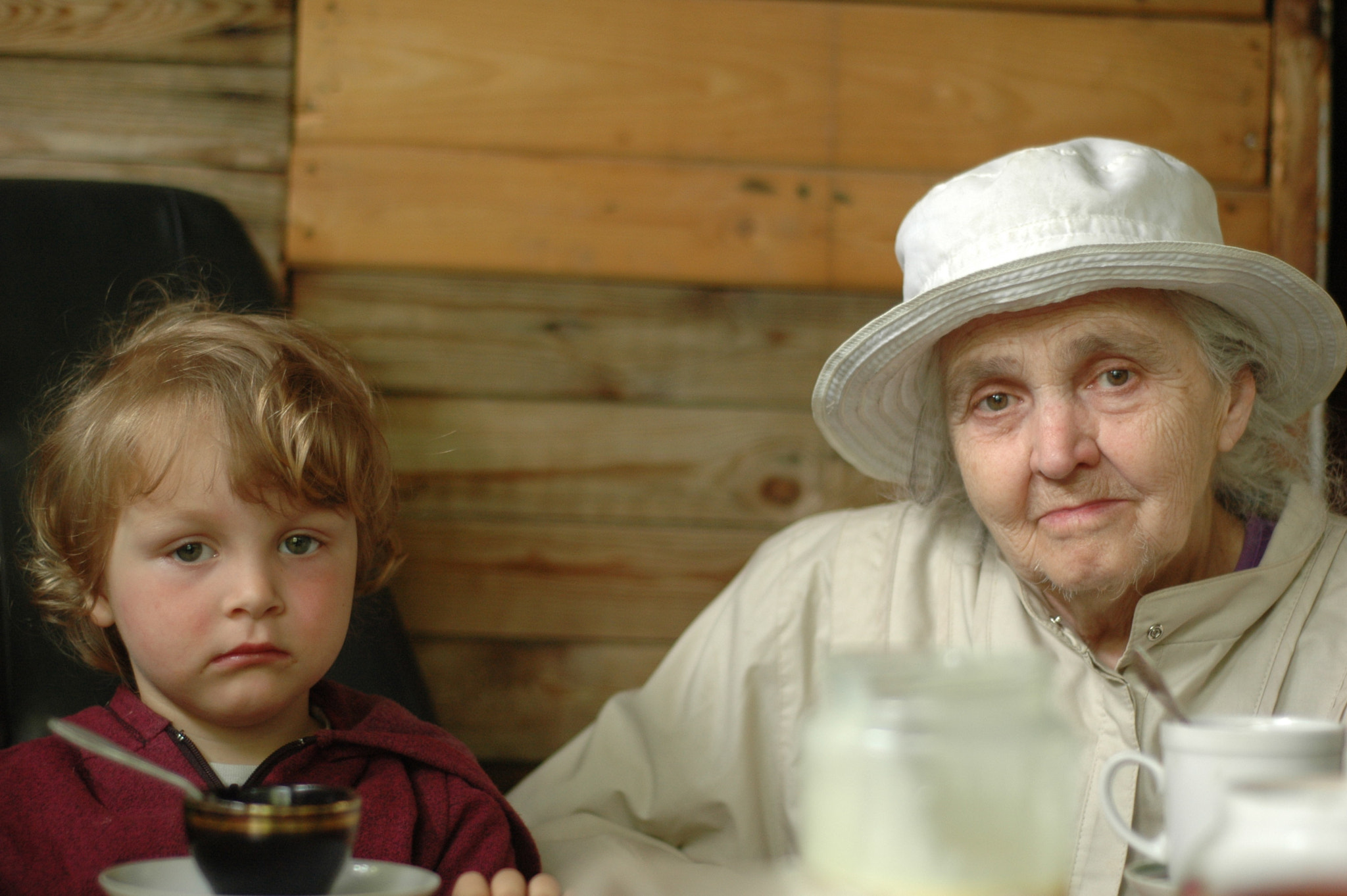 Nikon D70s sample photo. Old poetess with great-granddaughter (Портрет поэтессы Г.И. Куприной с правнучкой) photography