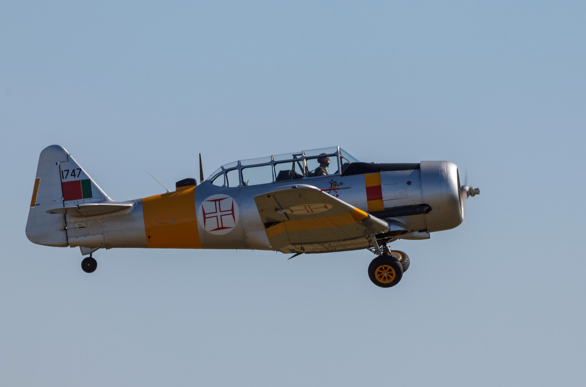 Canon EF 70-300mm F4-5.6 IS USM sample photo. North american harvard iv photography