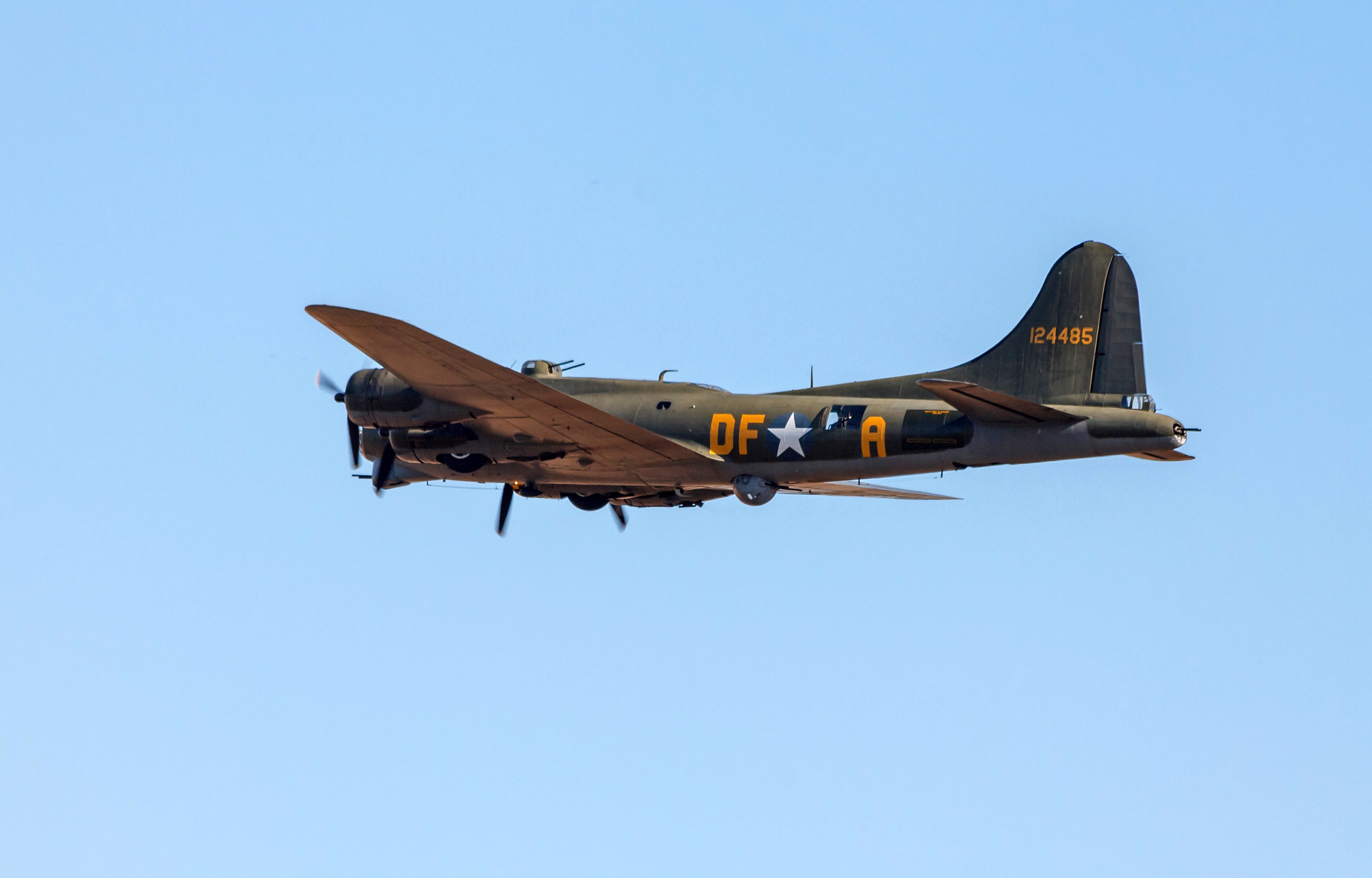 Canon EF 70-300mm F4-5.6 IS USM sample photo. Sally b photography
