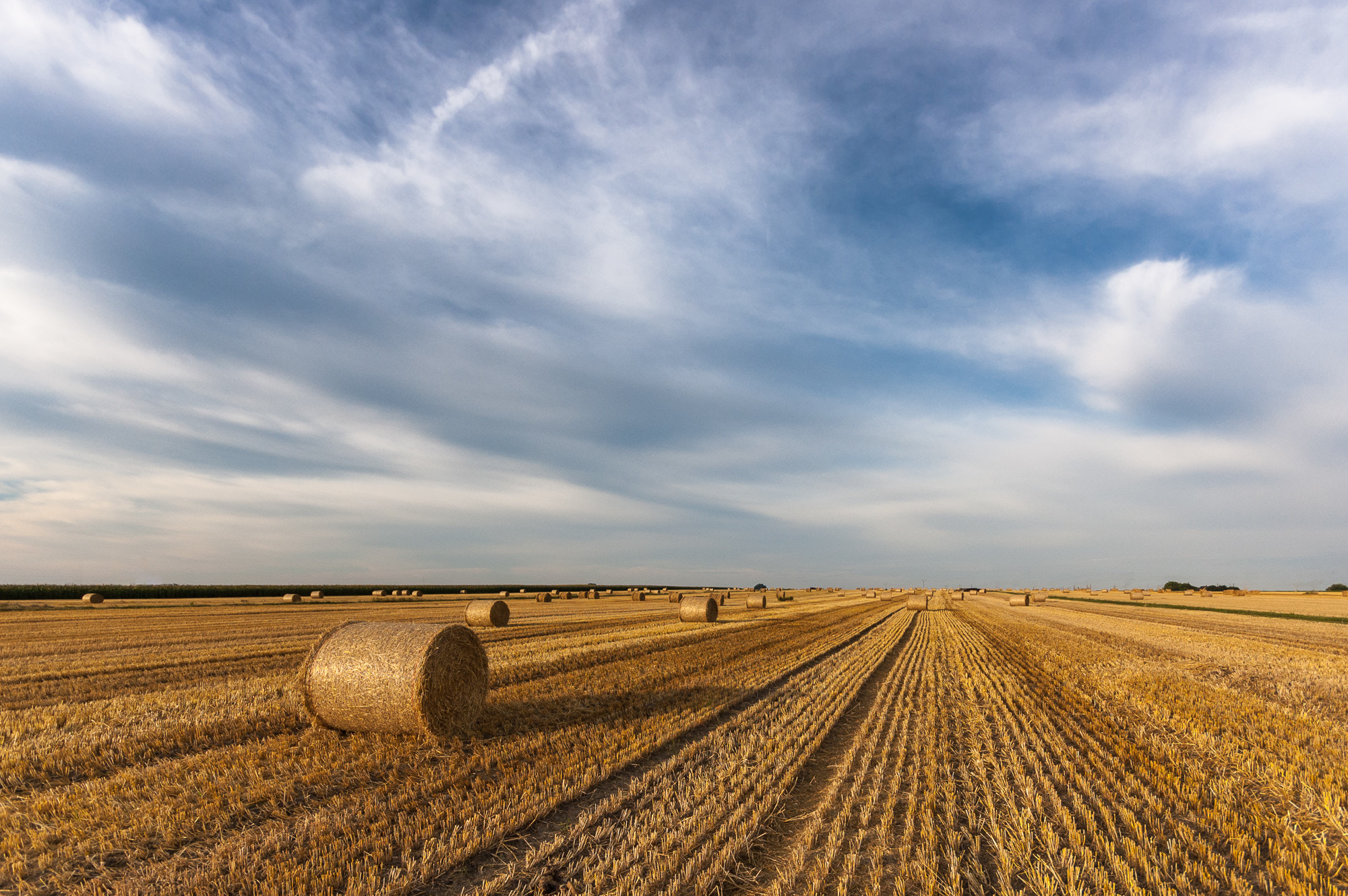 Nikon D50 sample photo. To the horizon photography