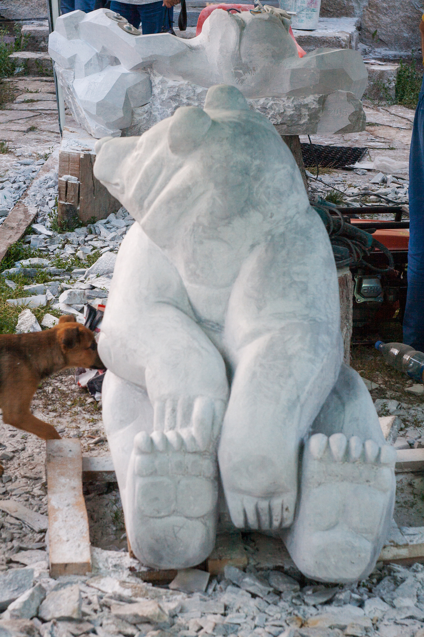 Canon EF 35-80mm f/4-5.6 sample photo. Sitting bear photography