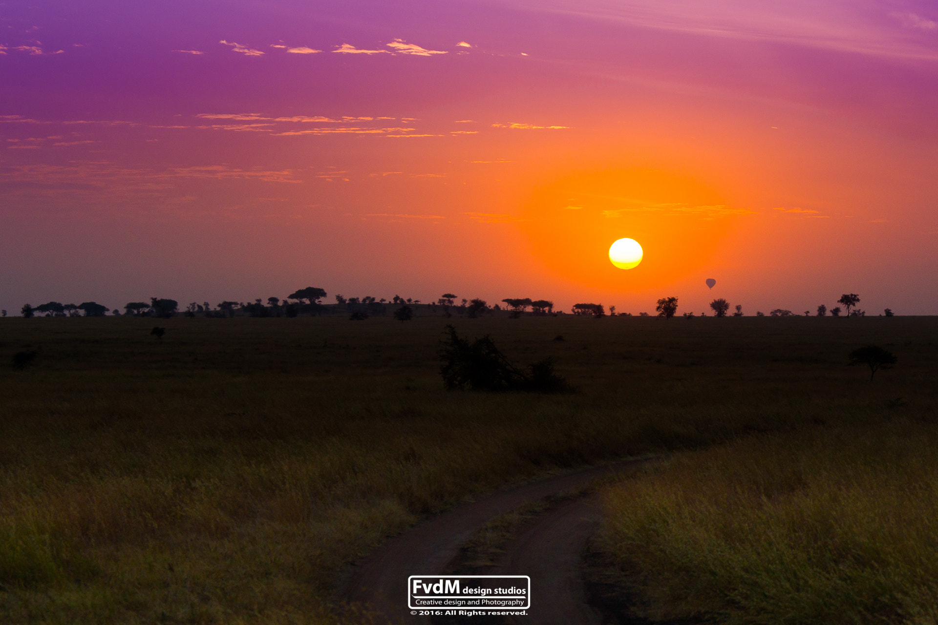 Sony 70-400mm F4-5.6 G SSM sample photo. Sunrise at serengeti... photography